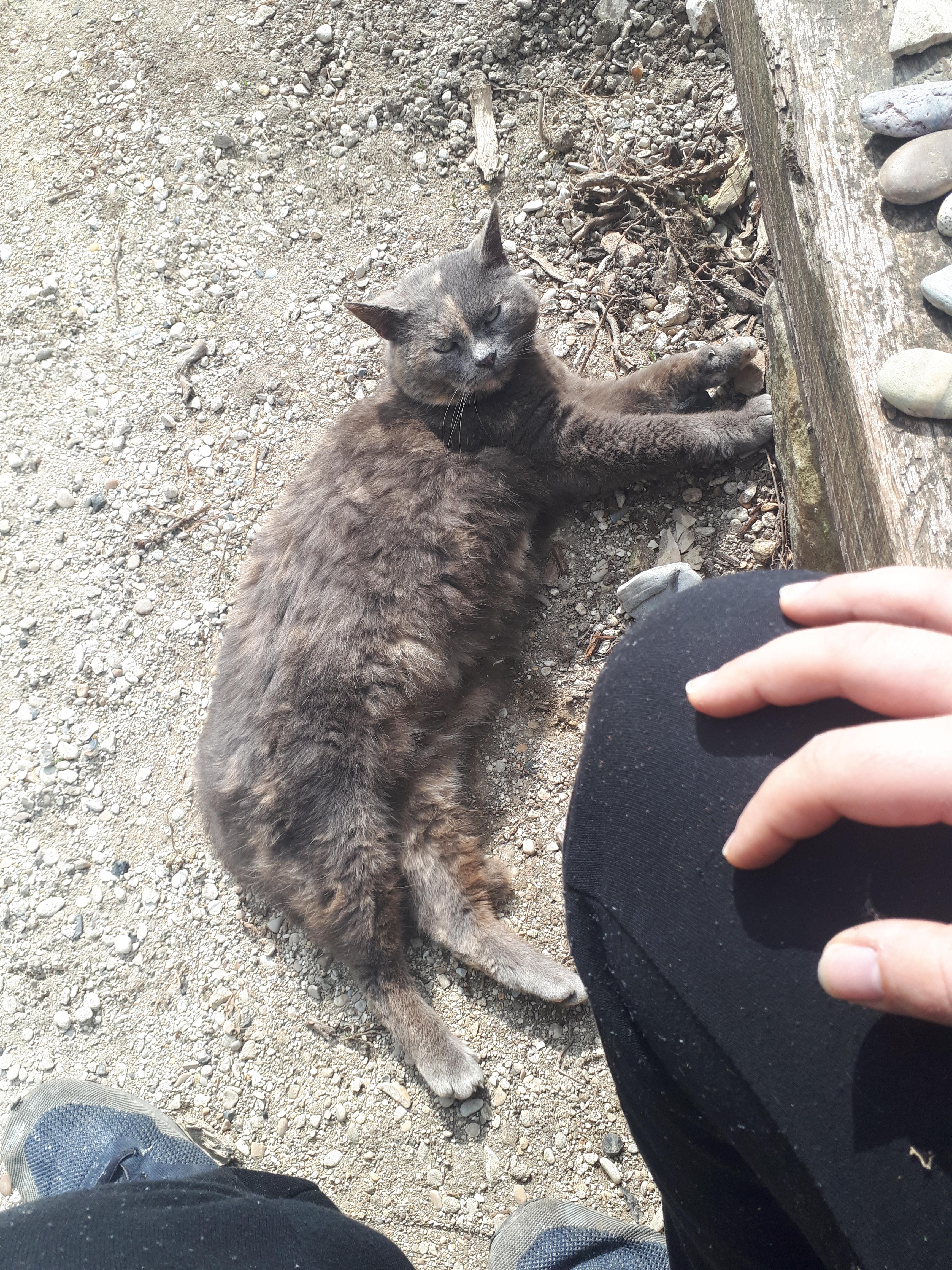 It's been a while. Fray still won't come inside, but she's starting to