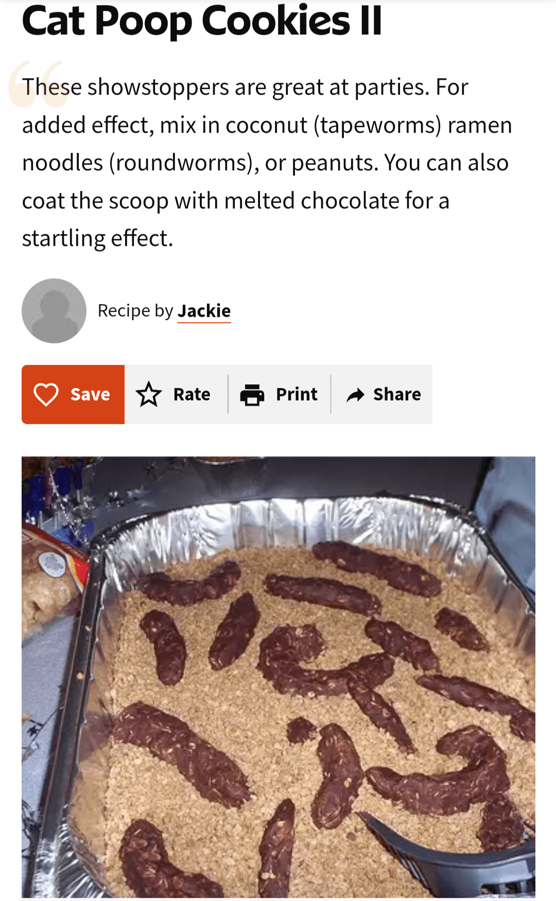 Cat poop cookies, complete with litter and suggestions on how to make