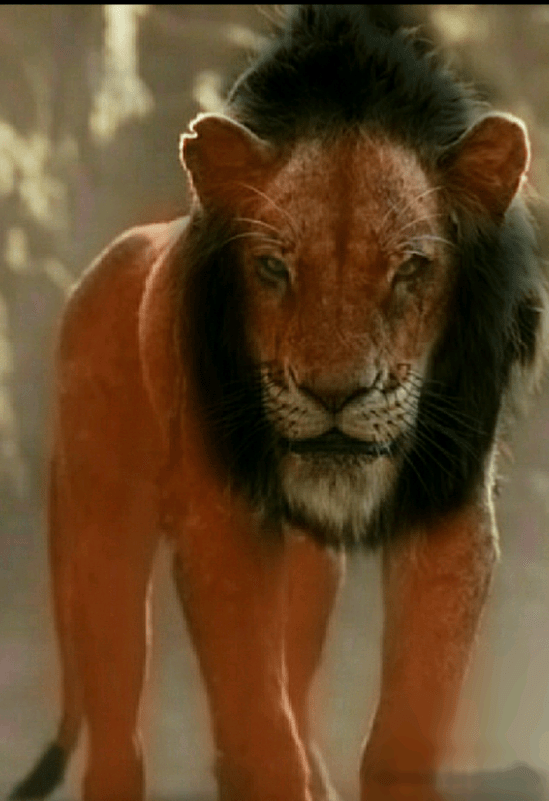 Scar Lion King Cartoon And Live Action Cast Side By S vrogue.co