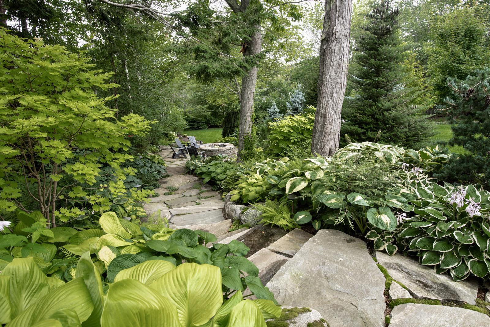 Shade garden waiting for the rain. Southern Maine r/landscaping