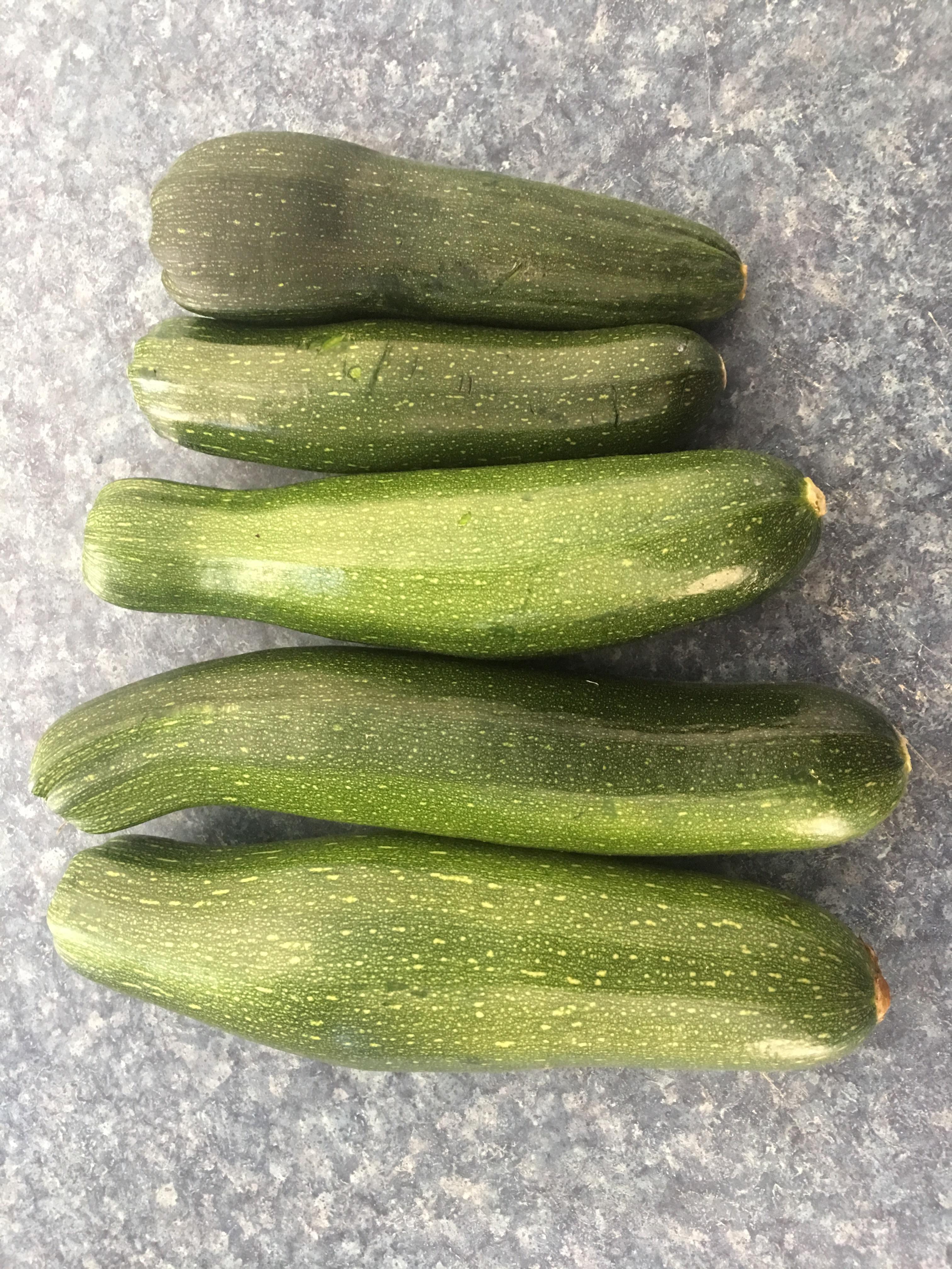 [NSW, Australia] Pretty happy with my zucchini haul r/gardening