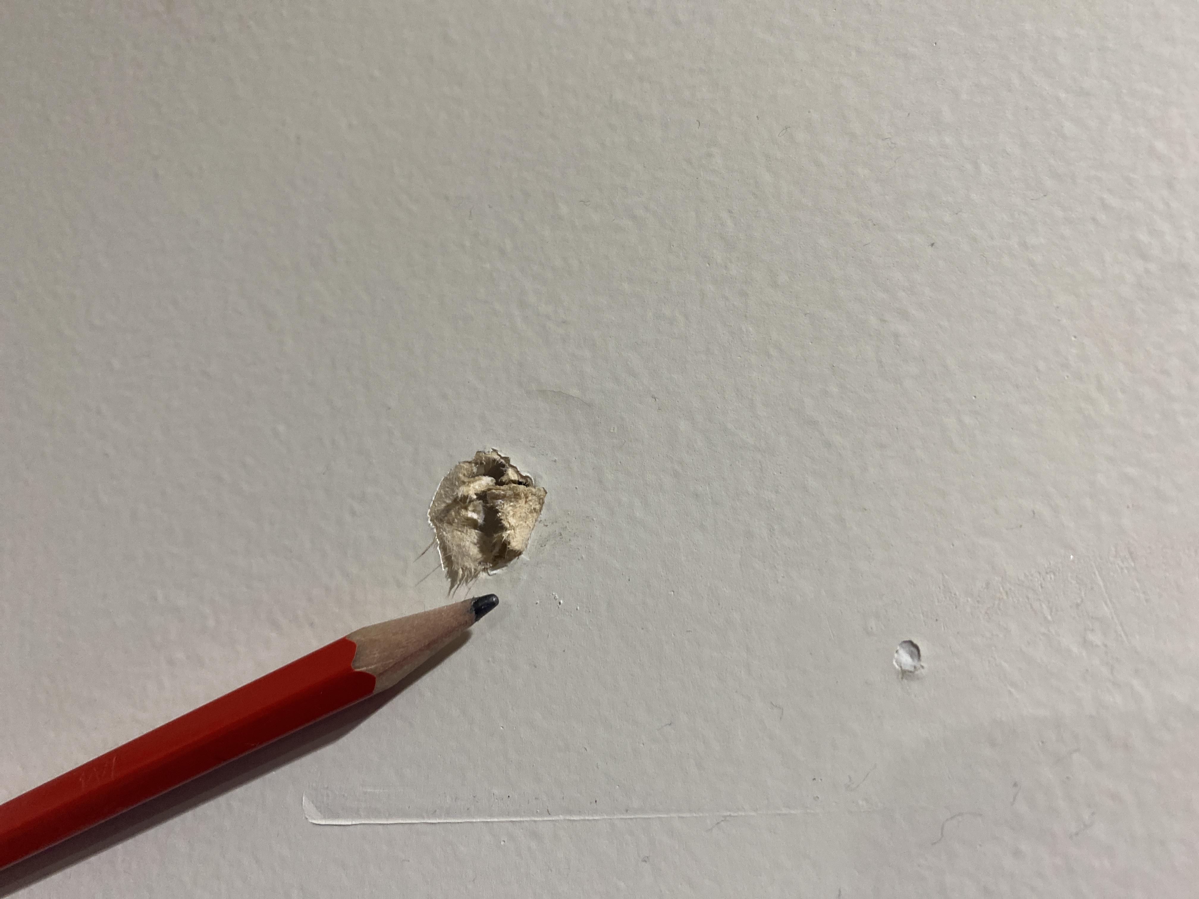 Repairing holes in Gib / plasterboard r/diynz