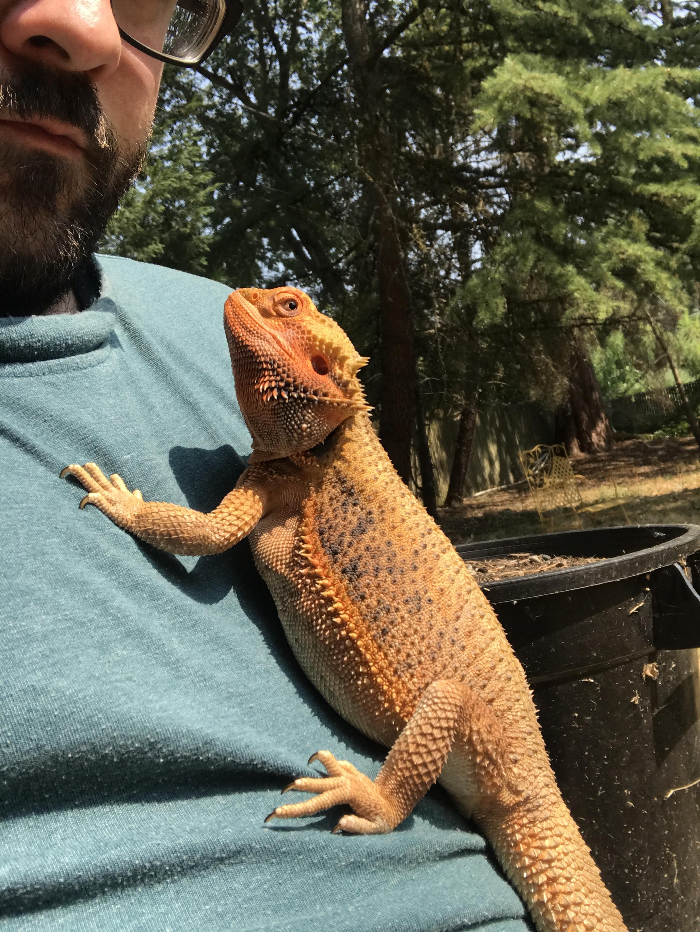 The famous beard smells like a dragon