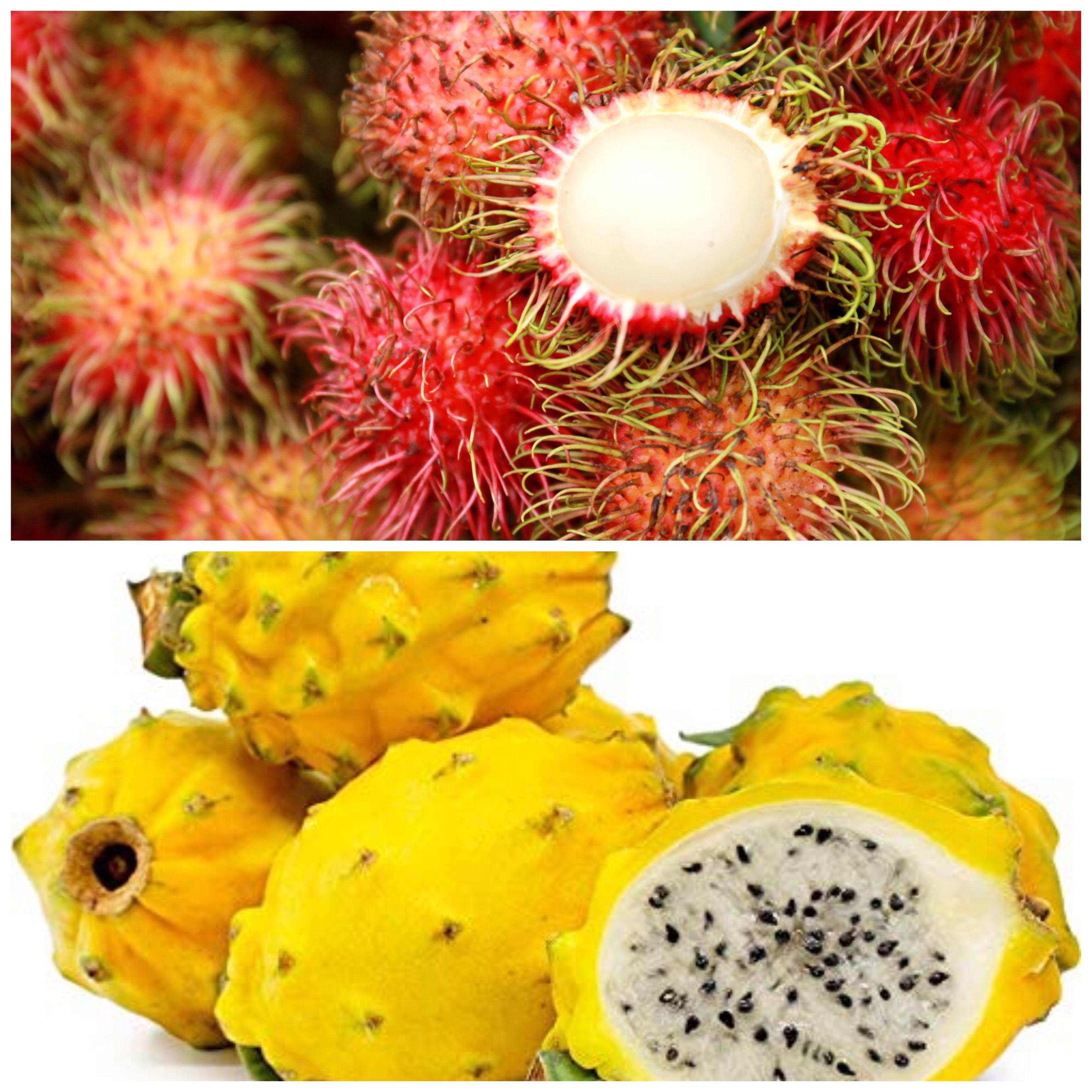 Yellow dragon fruit and rambutan I have never had them. any reviews