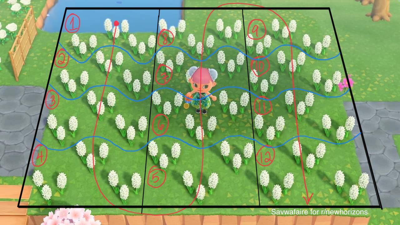 Efficient watering map for flower breeding r/ac_newhorizons