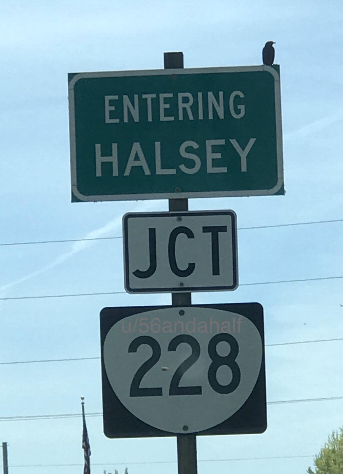 🤔🤭 Halsey, Oregon r/halsey