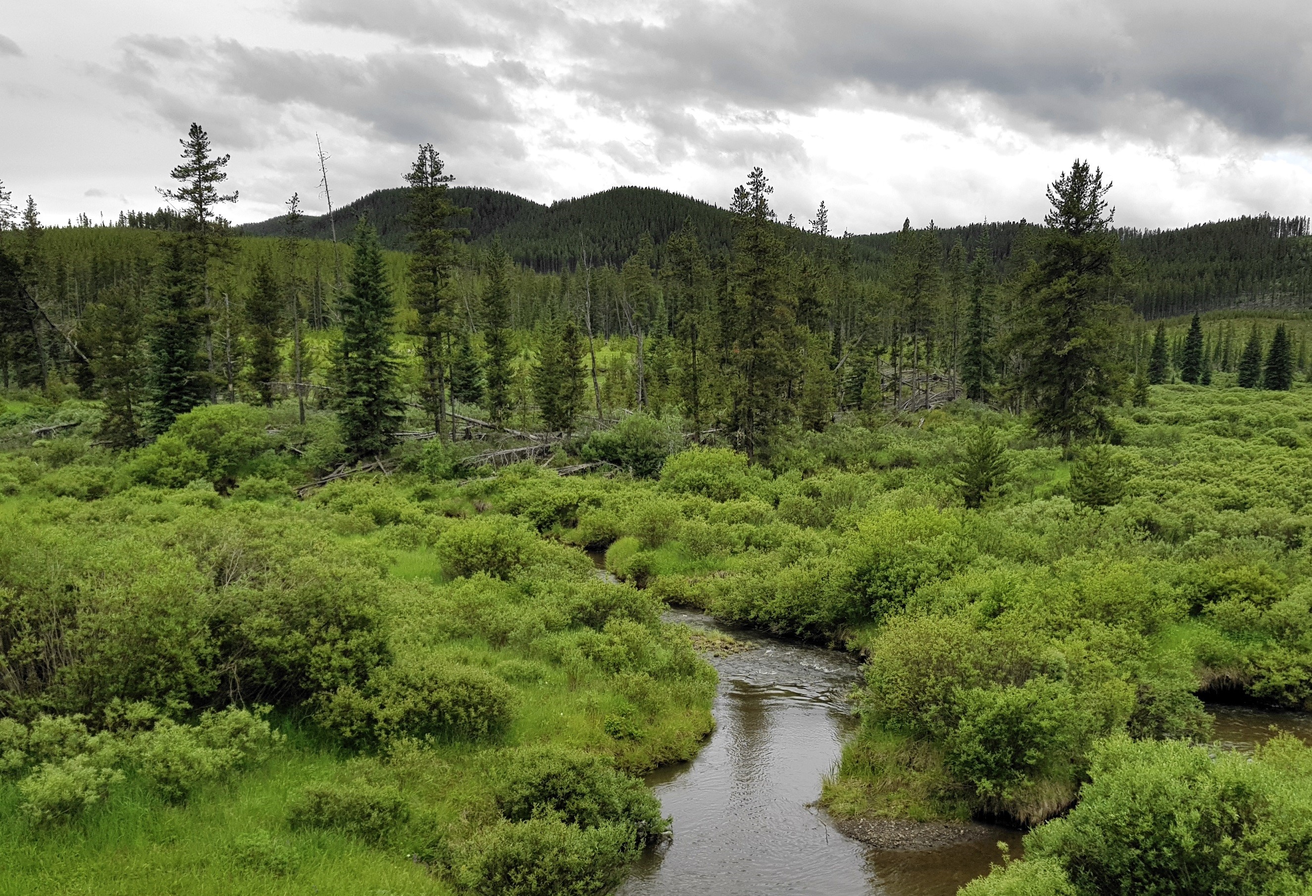 Water Valley Route 569, Alberta, Canada [OC] [2650x1810] r/EarthPorn