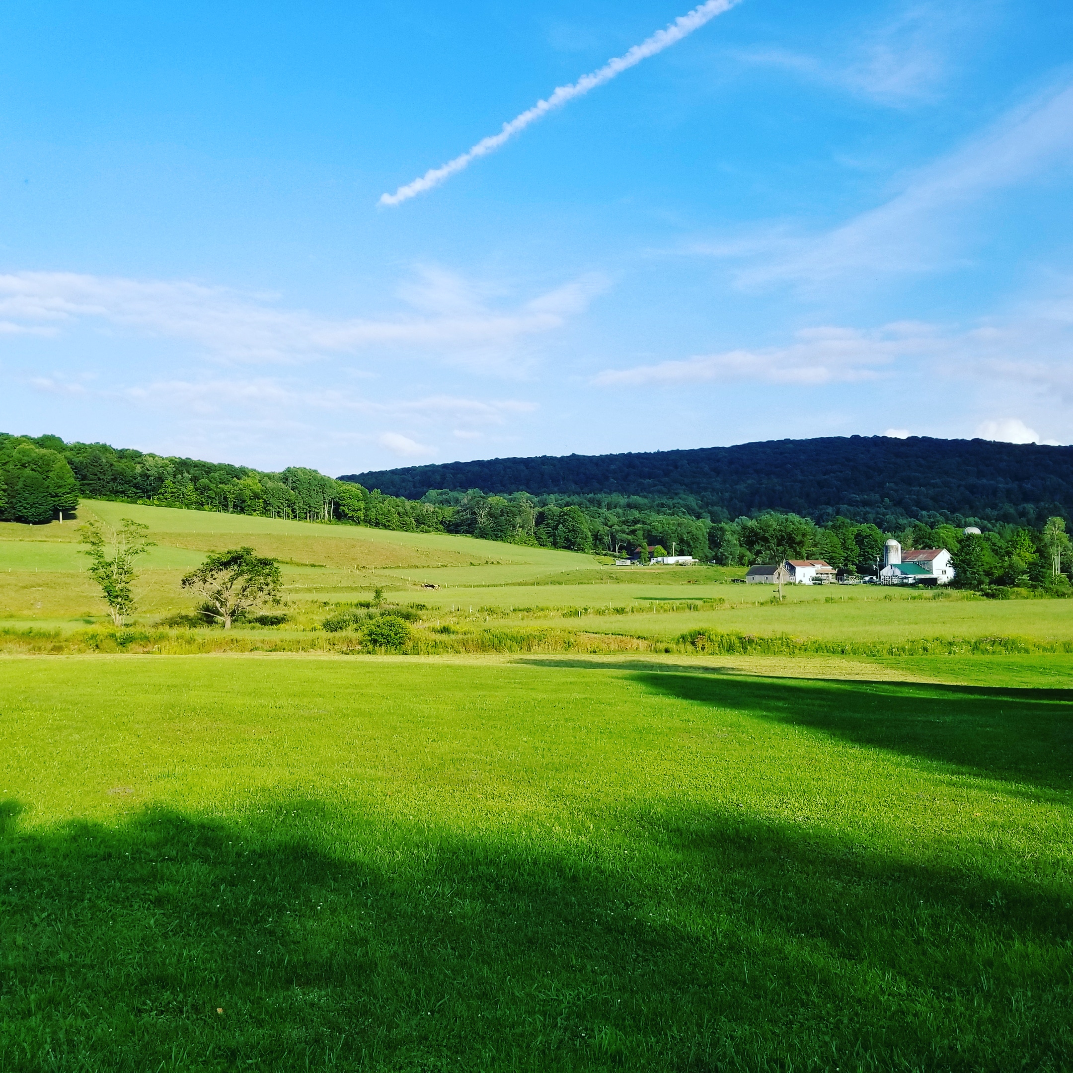Roseboom, NY r/upstate_new_york