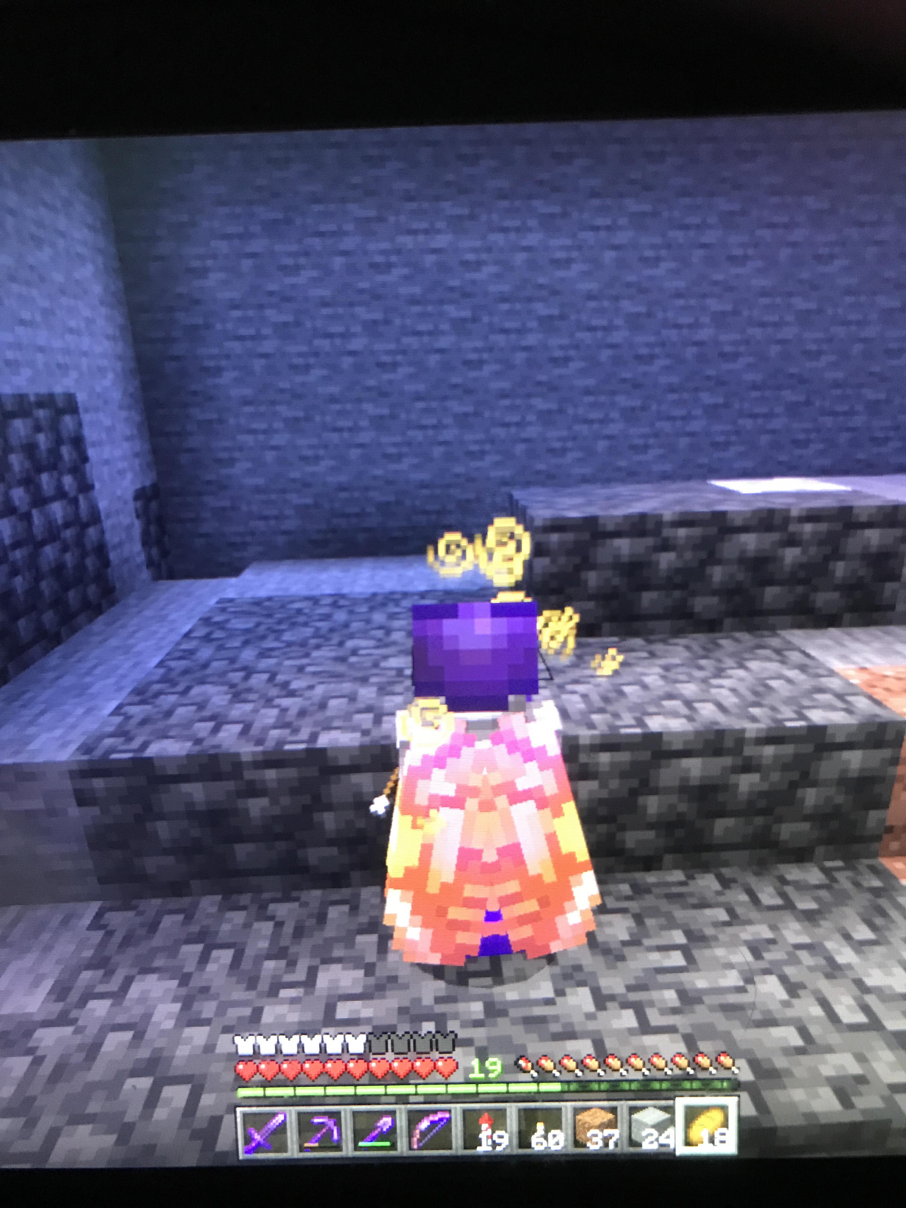 Why does my elytra look like this? r/Minecraft