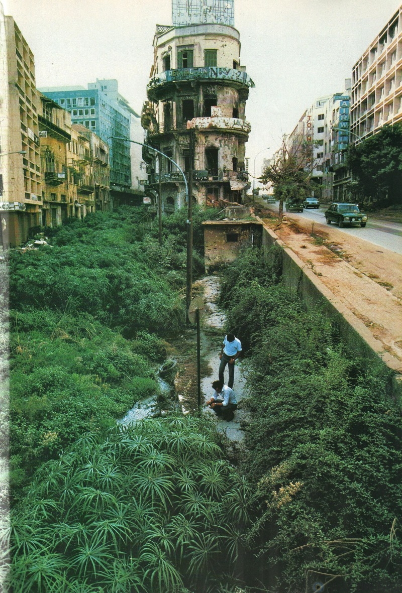 The Green Line demarcation zone, Beirut, Lebanon 1982.[800 × 1164] r