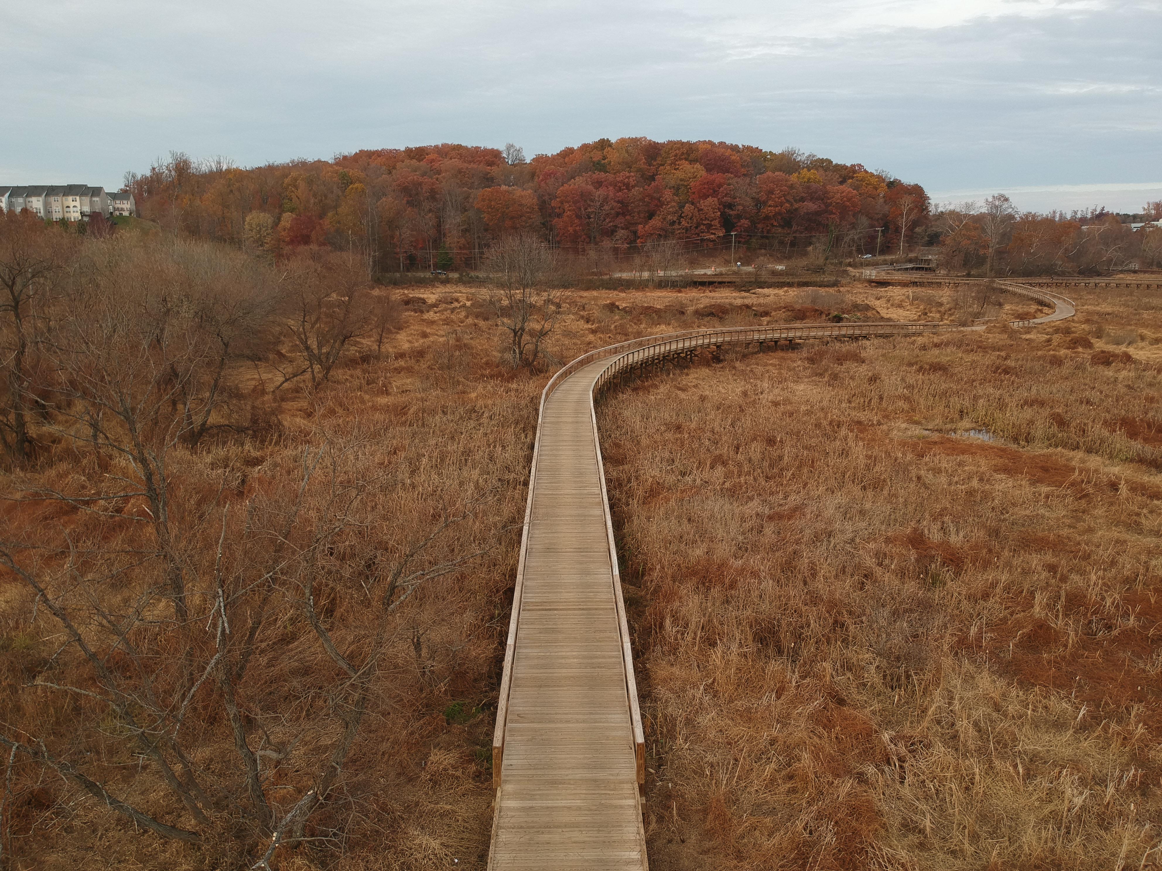 Woodbridge Boardwalk Trail. r/nova