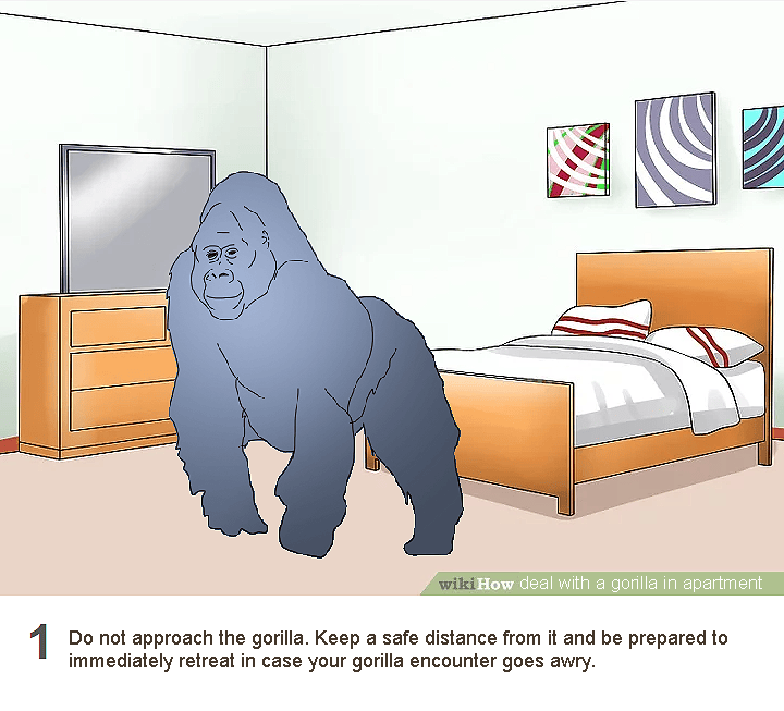 Had a dream a while ago about a gorilla in my apartment and looking up