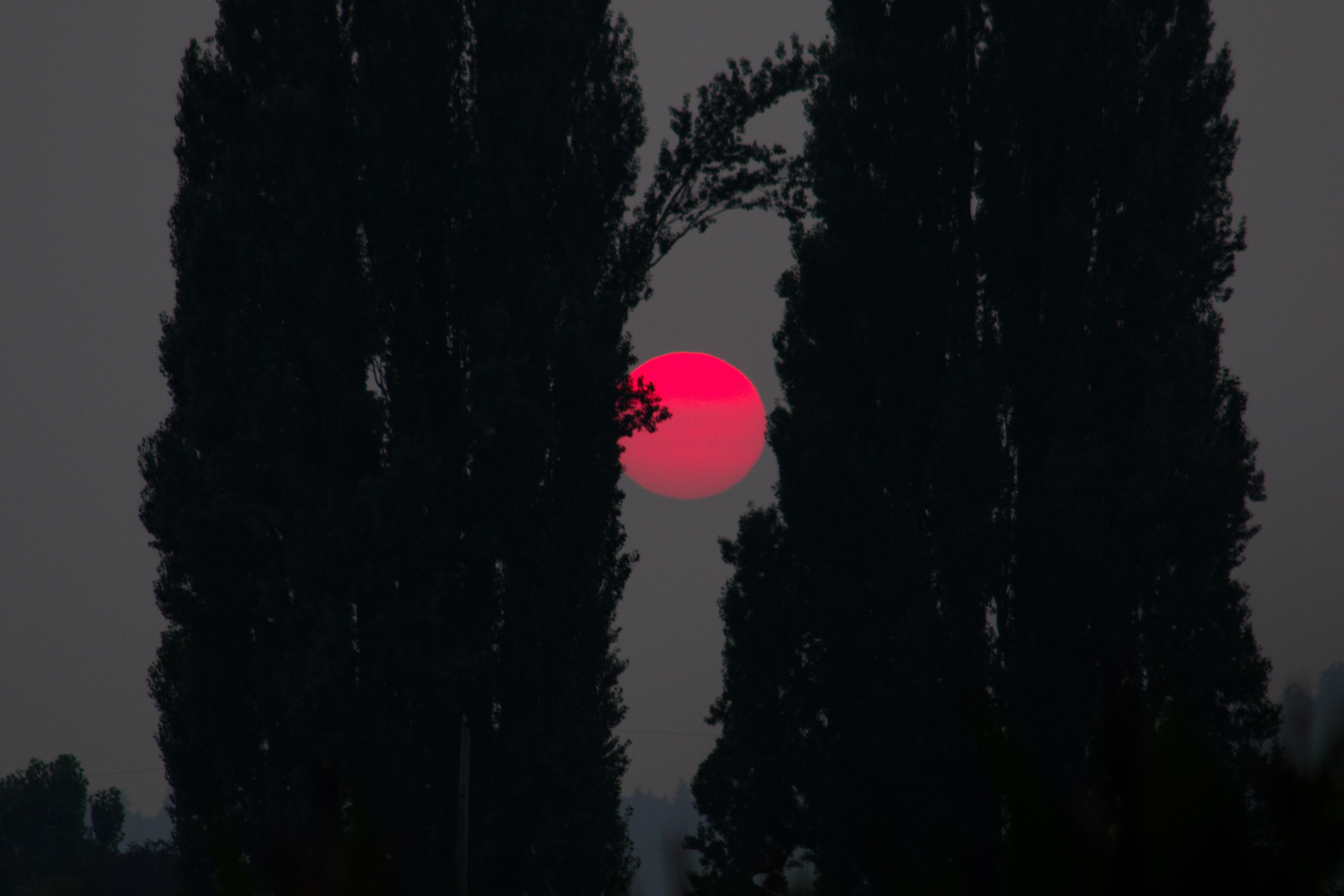 Blood moon also spotted here in Washington. r/Breath_of_the_Wild