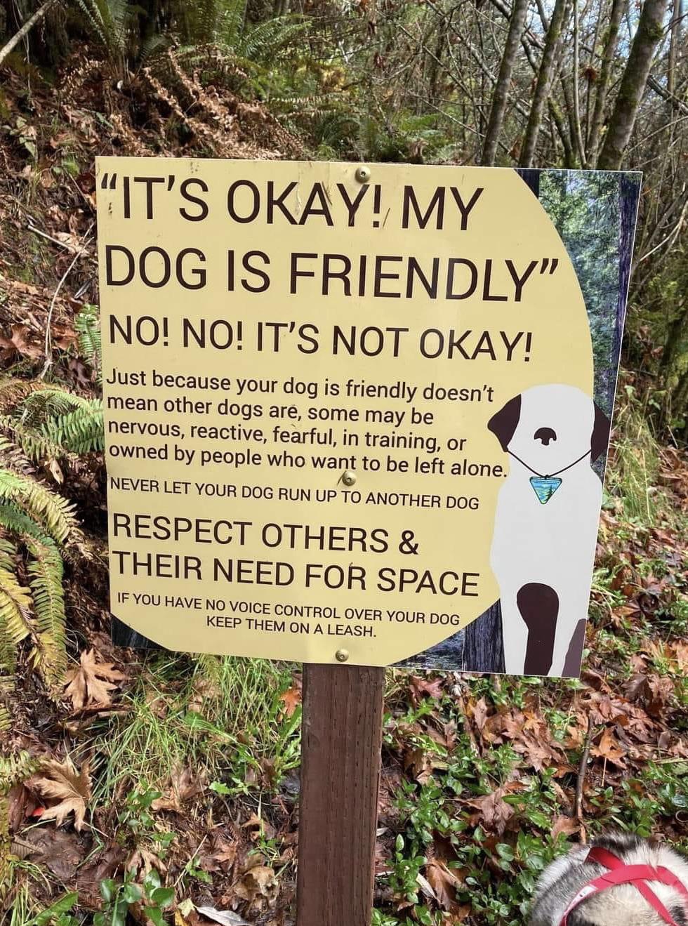 So many dog owners nowadays really NEED to read and understand this r