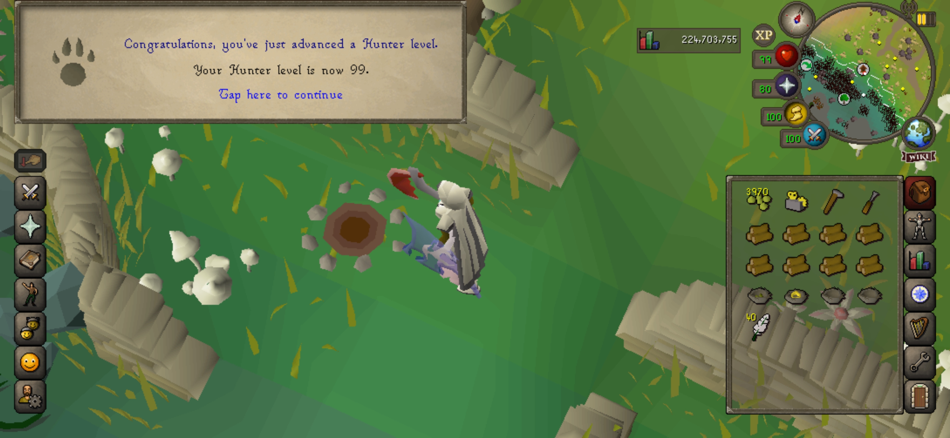 So I just got 99 hunting. 99,9 birdhouses 0,01 Varrock museum. I can't be the only one? r