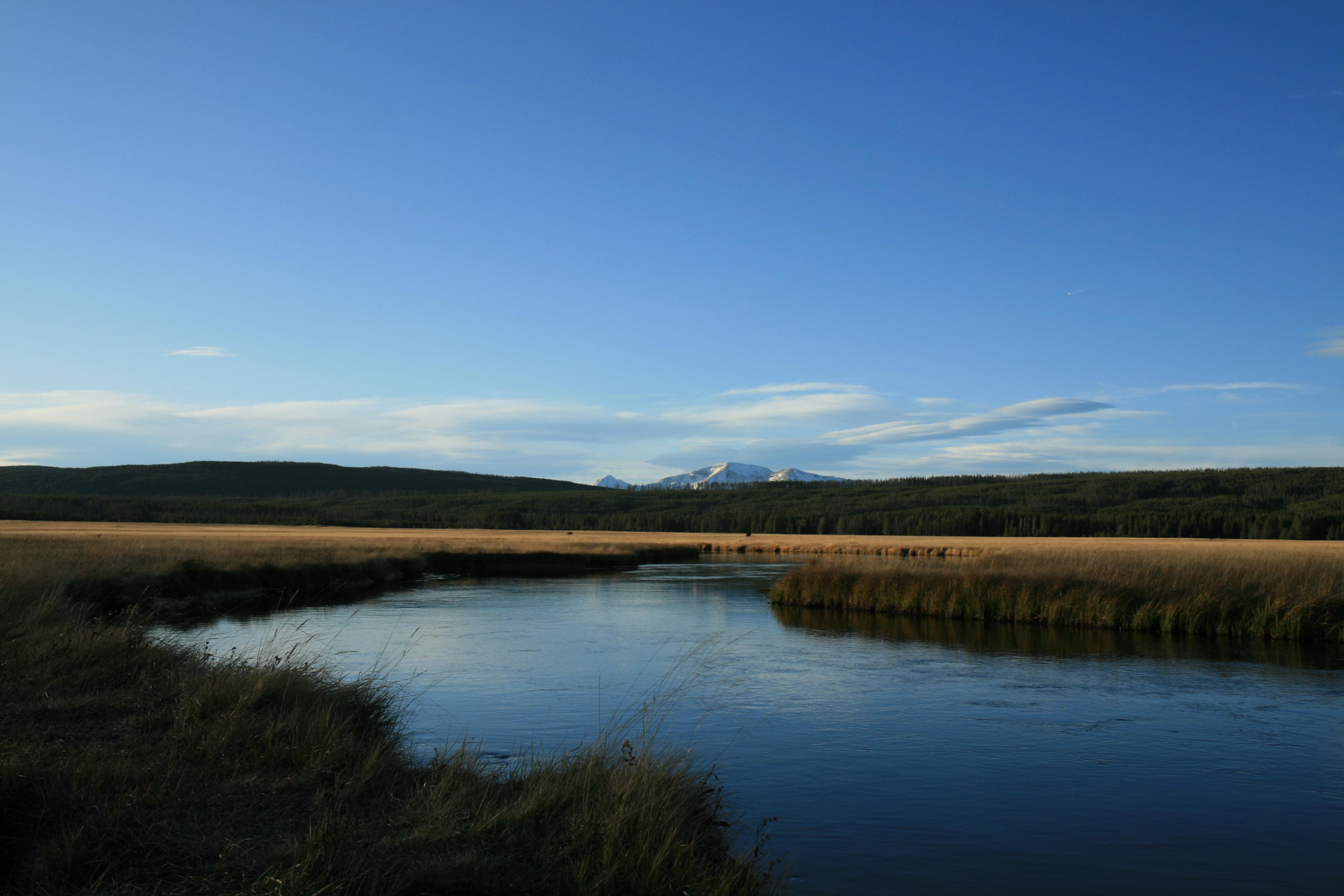Gibbon Meadows Yellowstone National Park, Wyoming (3888x2592) [OC