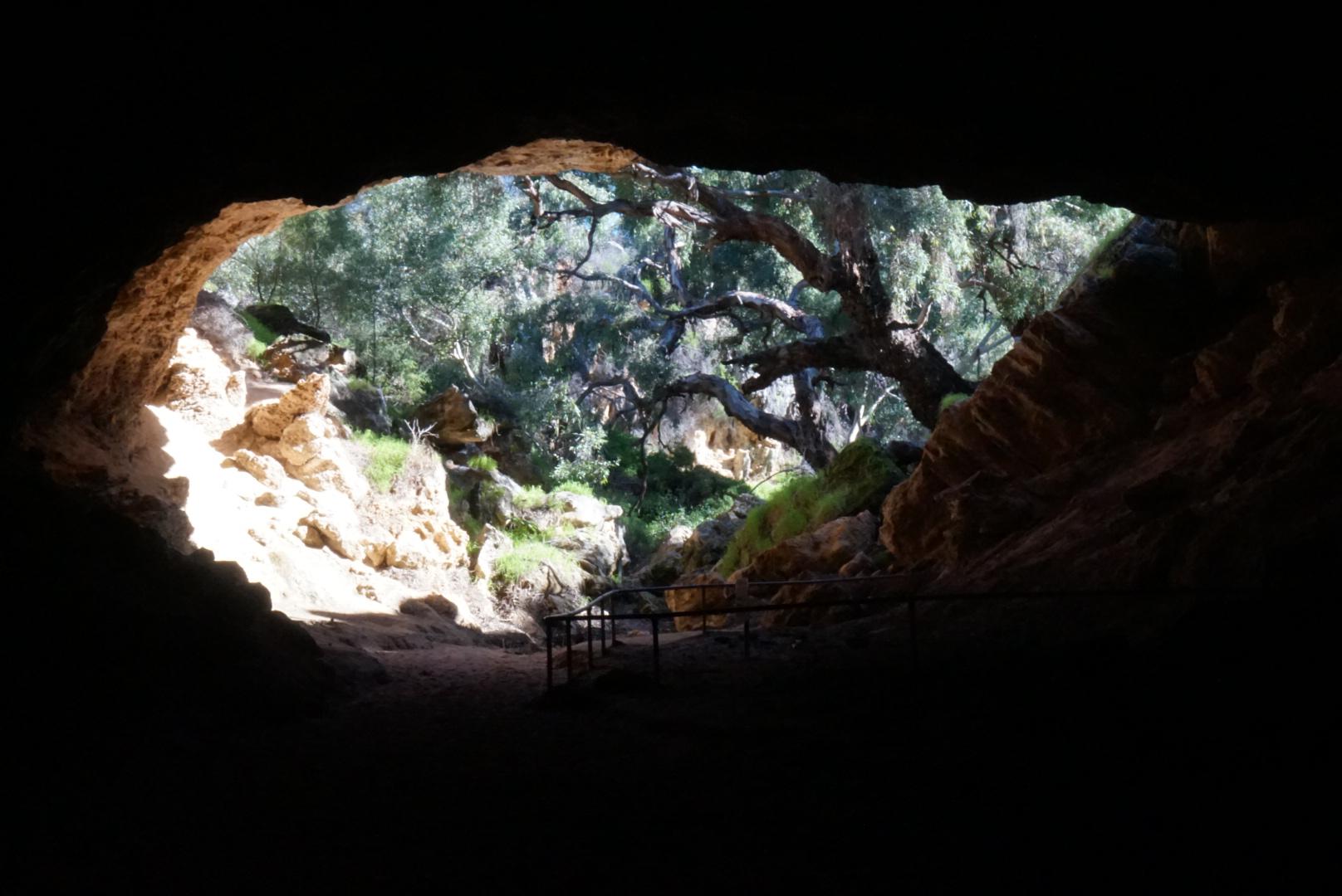 Stockyard Gully Cave, Western Australia. So called because they used to