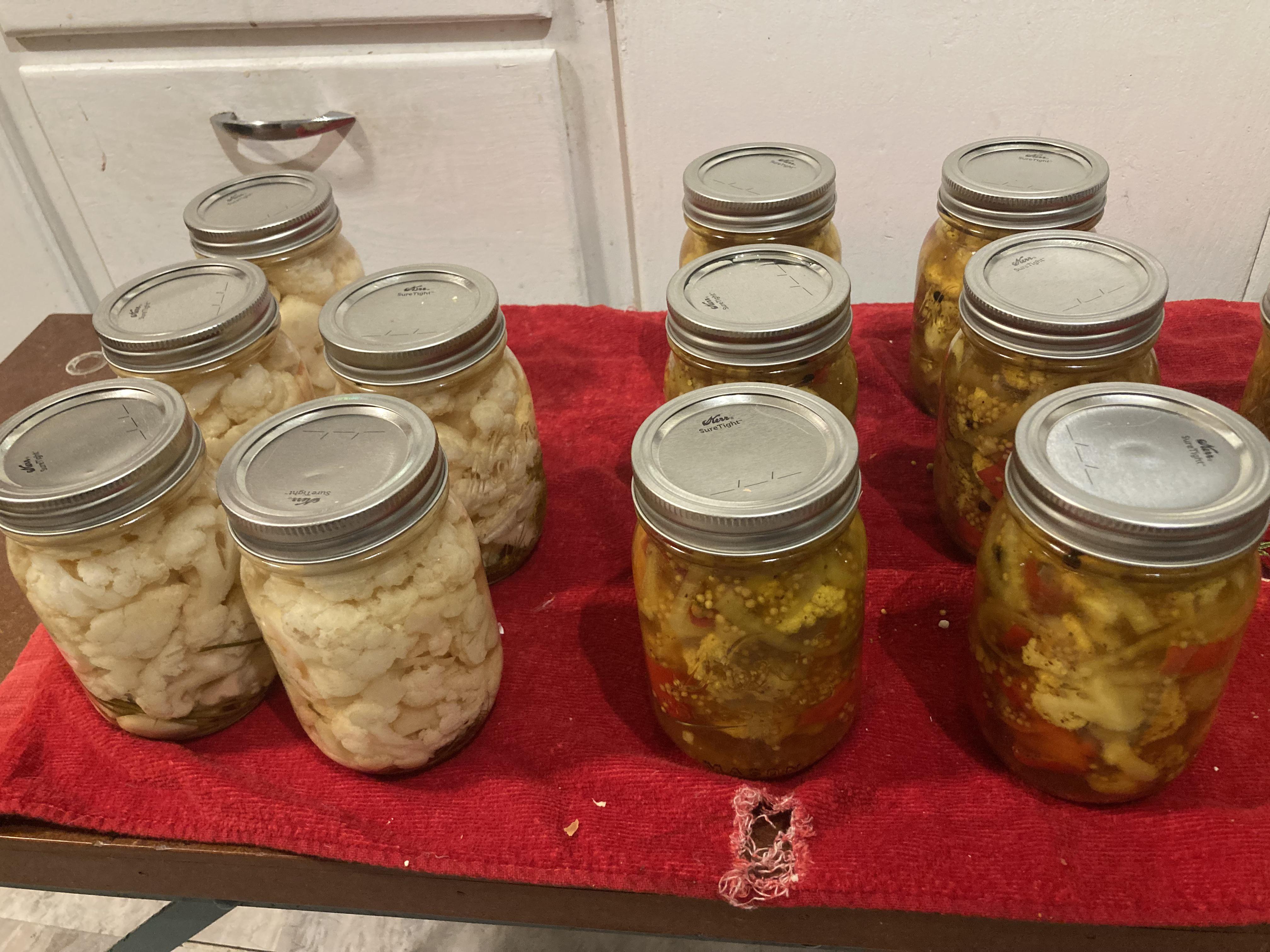 Pickled cauliflower! r/Canning