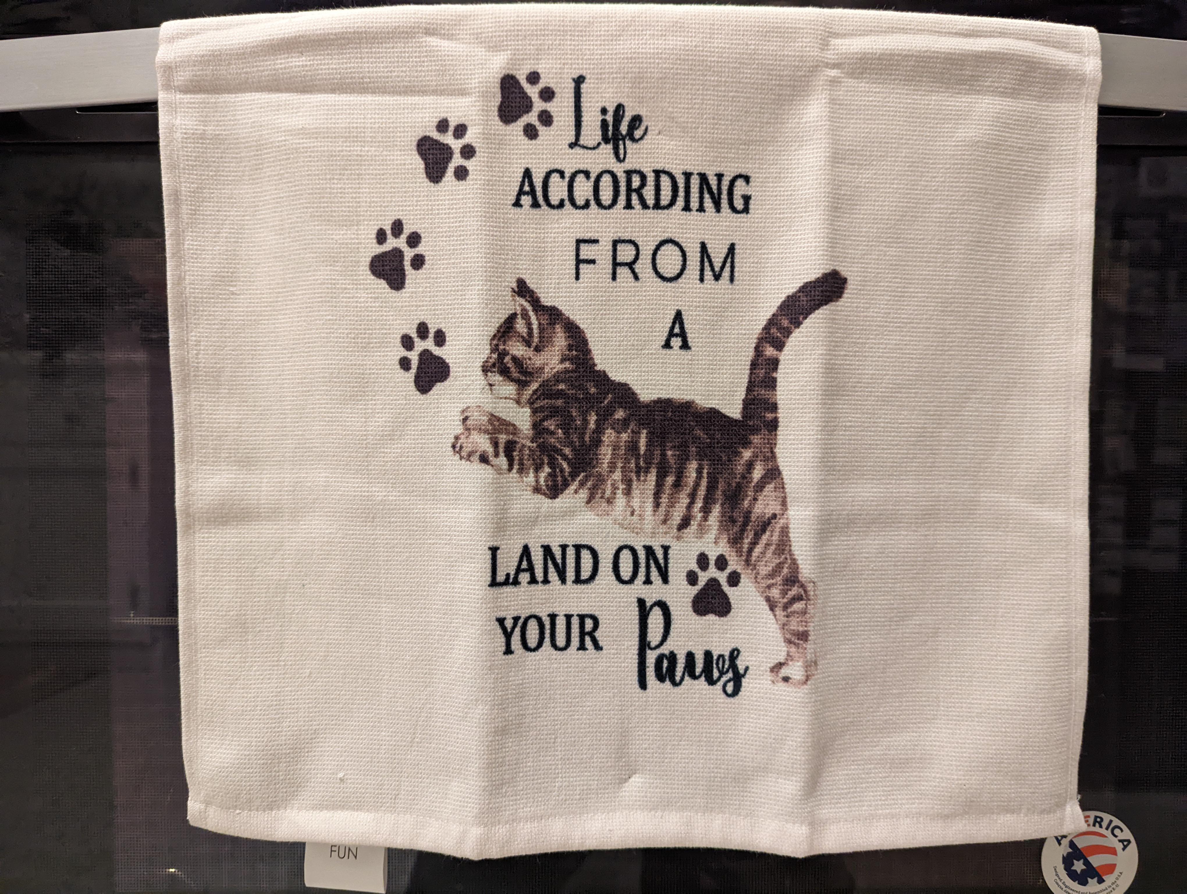 Life according from a land on your paws CrappyDesign