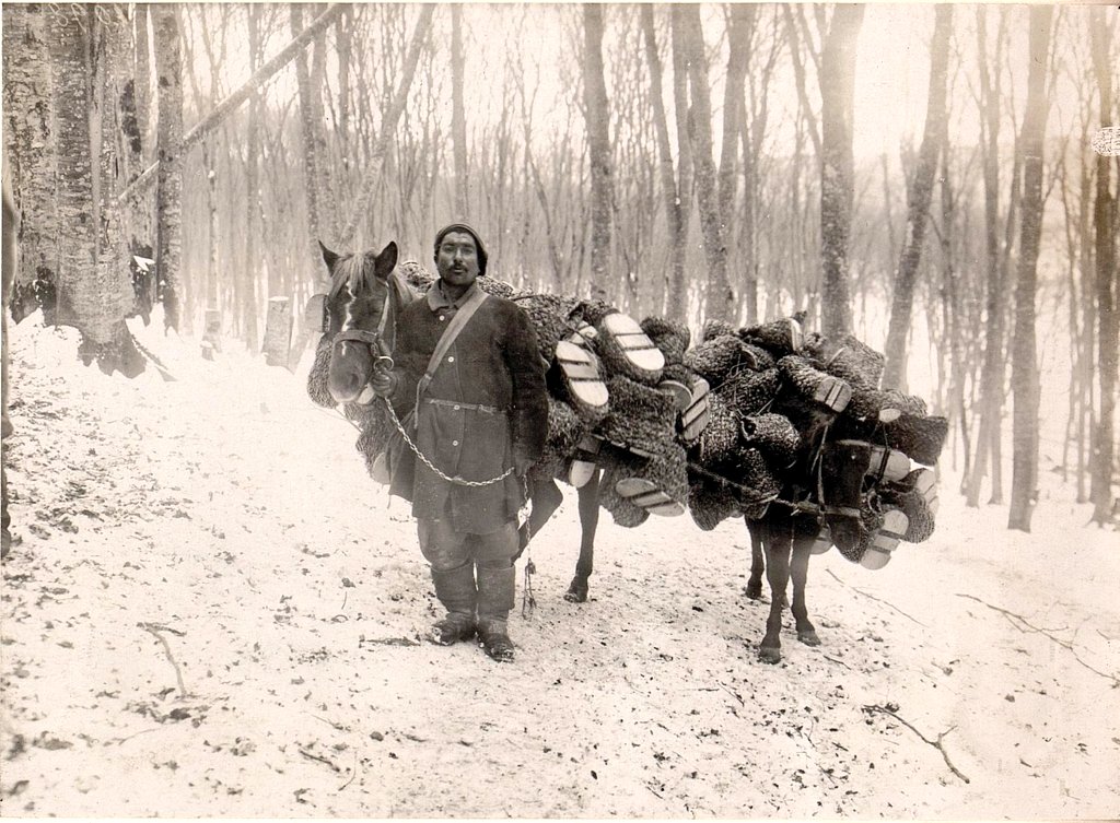 A soldier of the Ottoman XV Corps photographed by an AustroHungarian