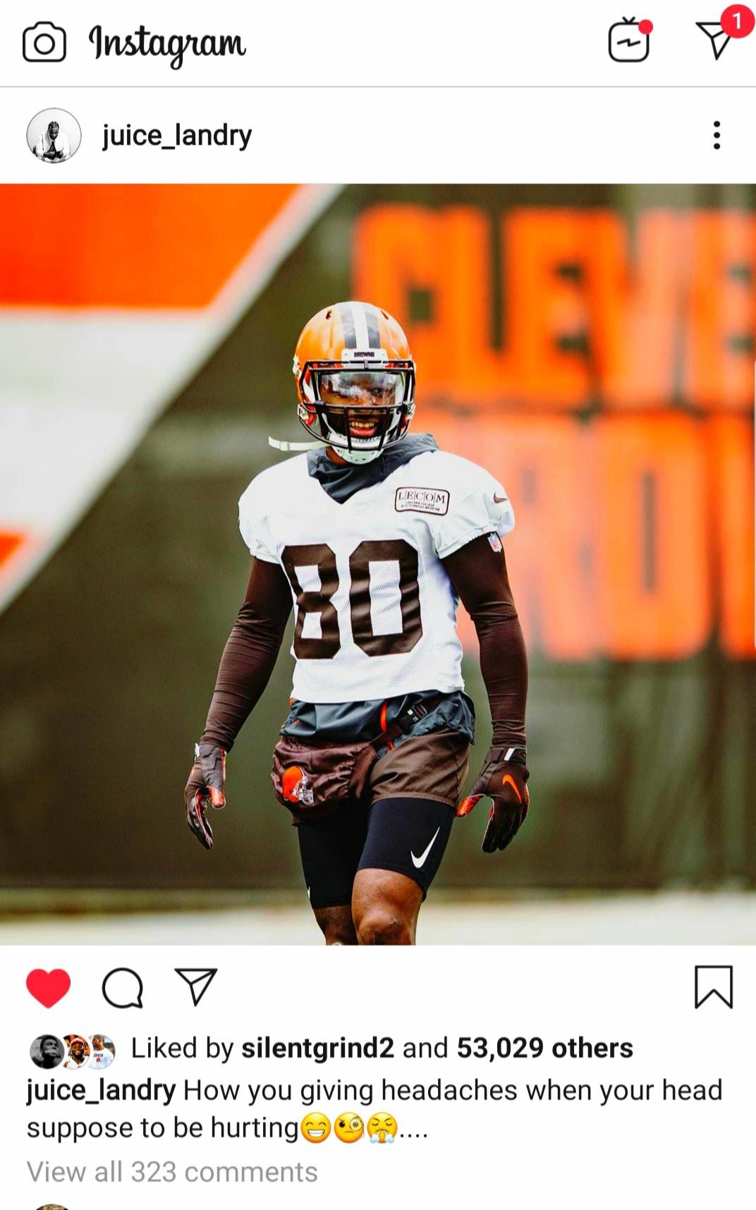 Juice on the Loose. Browns