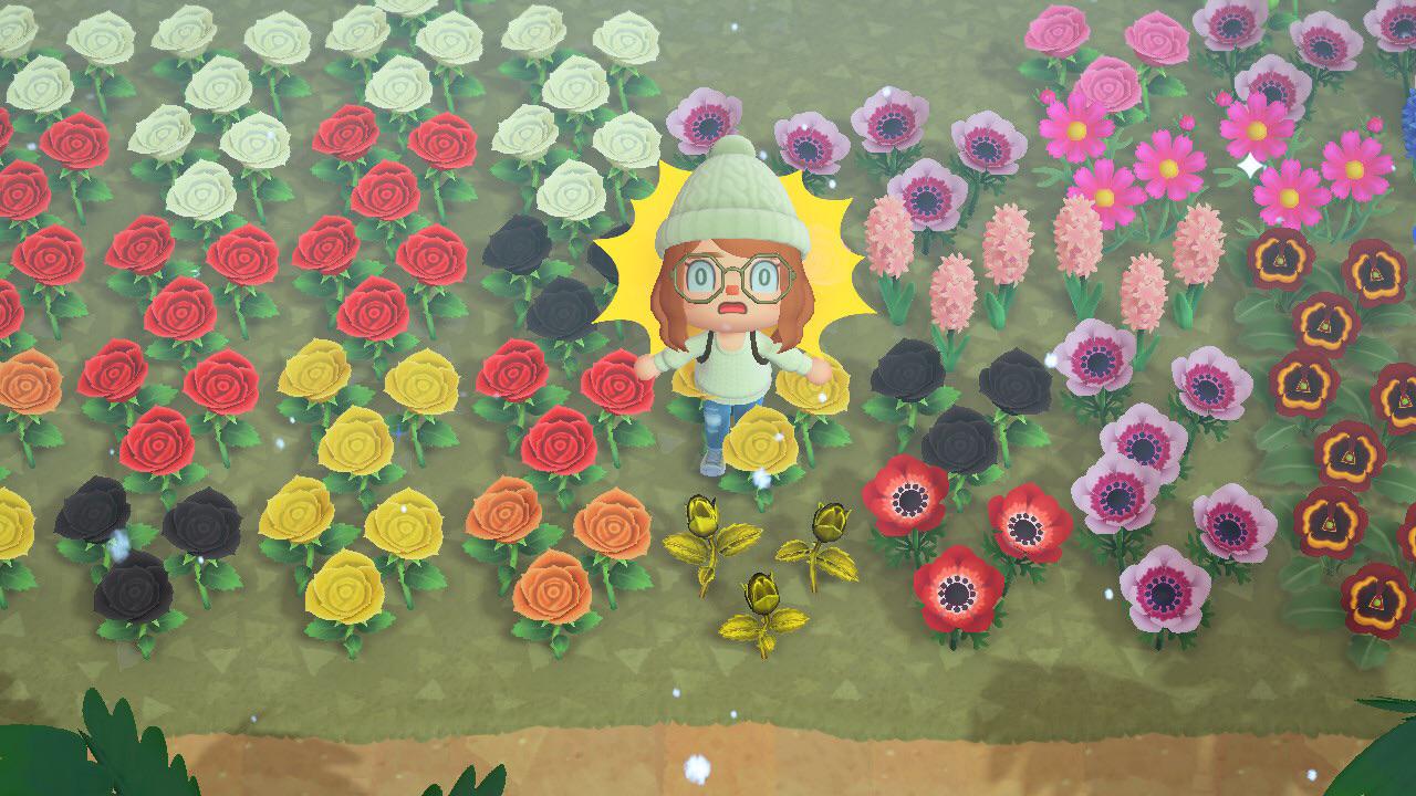 Can gold roses spawn without a golden watering can? (More info in