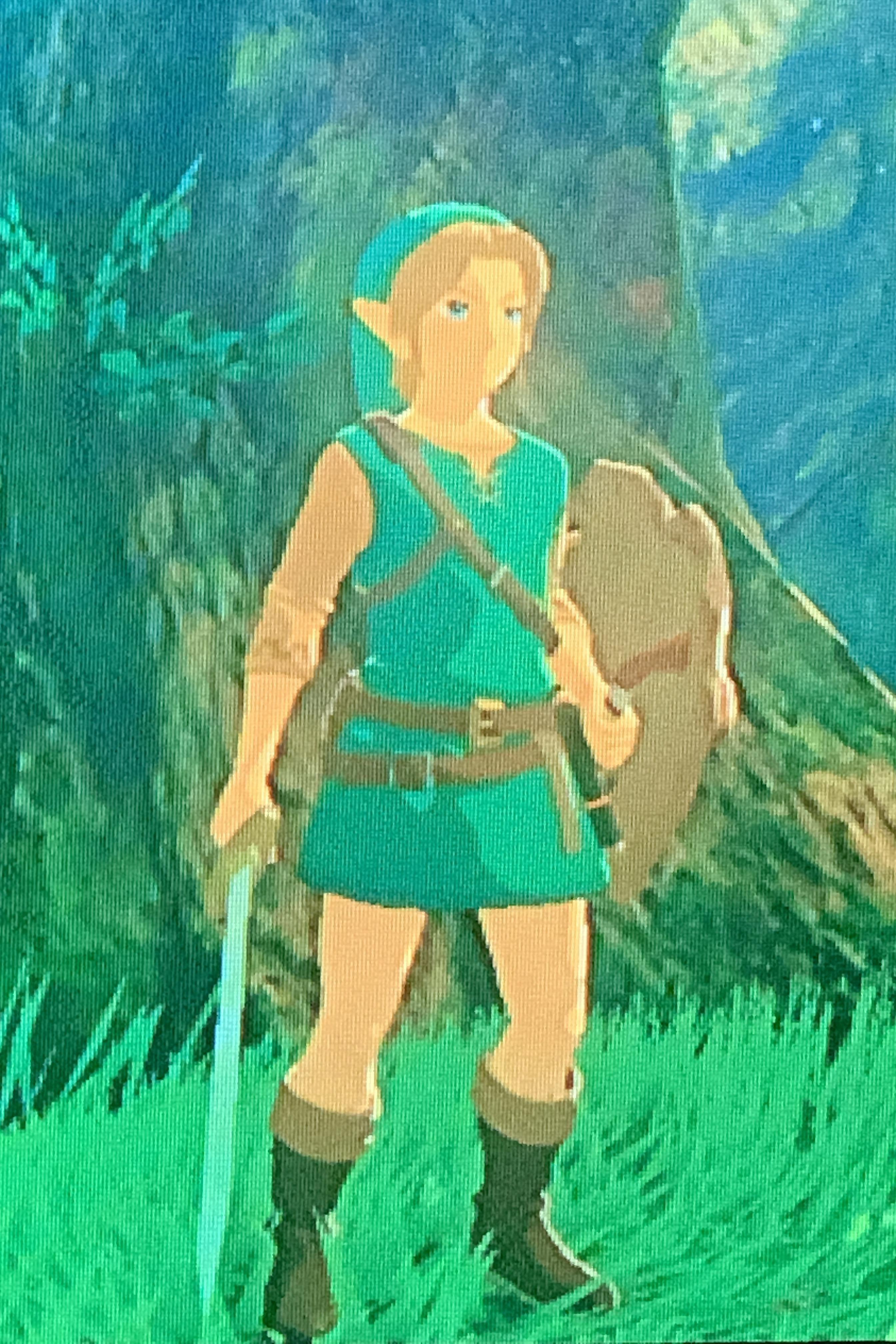 I attempted a Young Link costume. Cap of Time, Tunic of the Wild (dyed