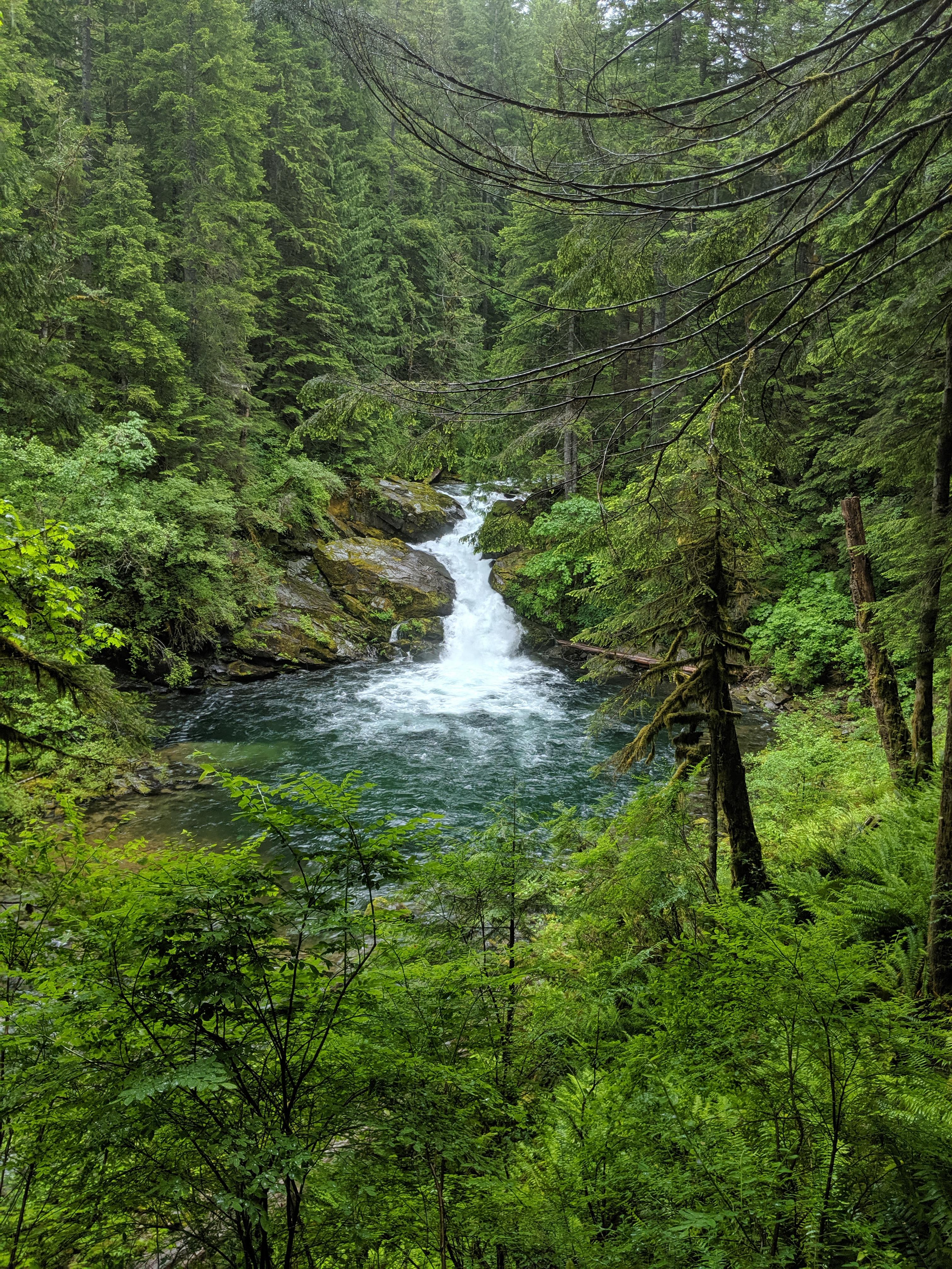 Siouxon Creek Trail in the Gifford Pinchot National Forest r/PNWhiking
