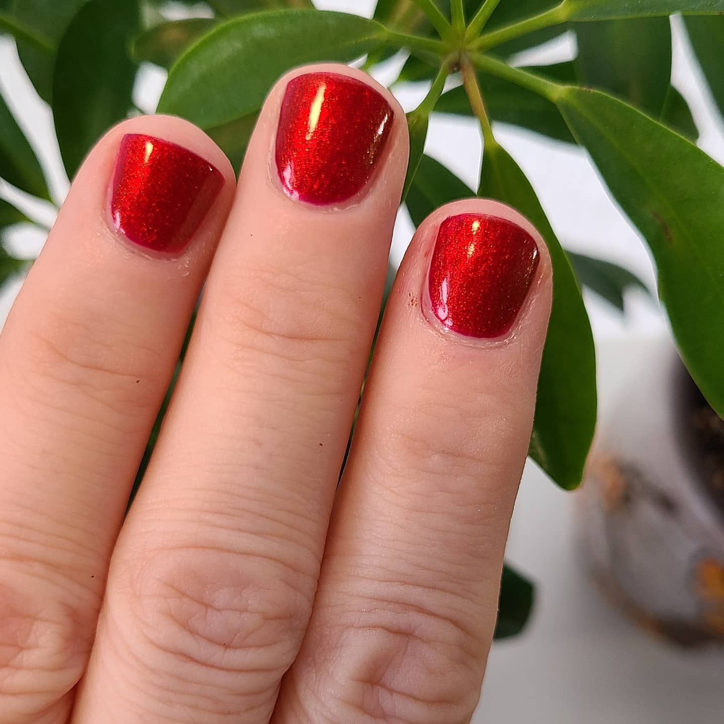 Couldn't decide between floral and sparkles lacqueristas