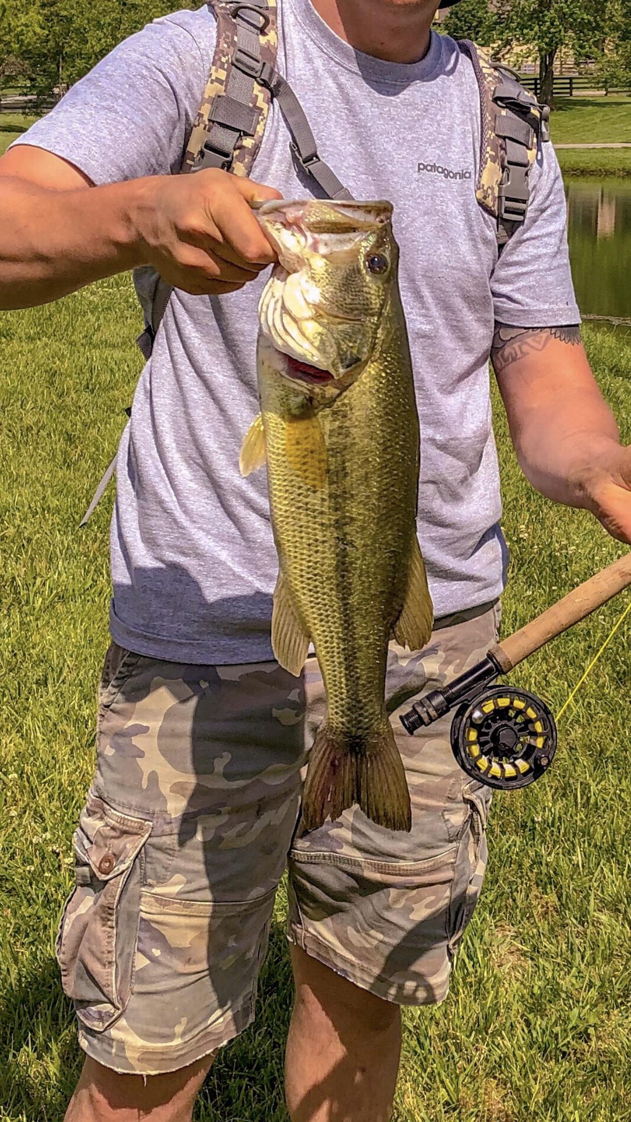 Hello everyone, new to reddit as well as fly fishing. Looking forward