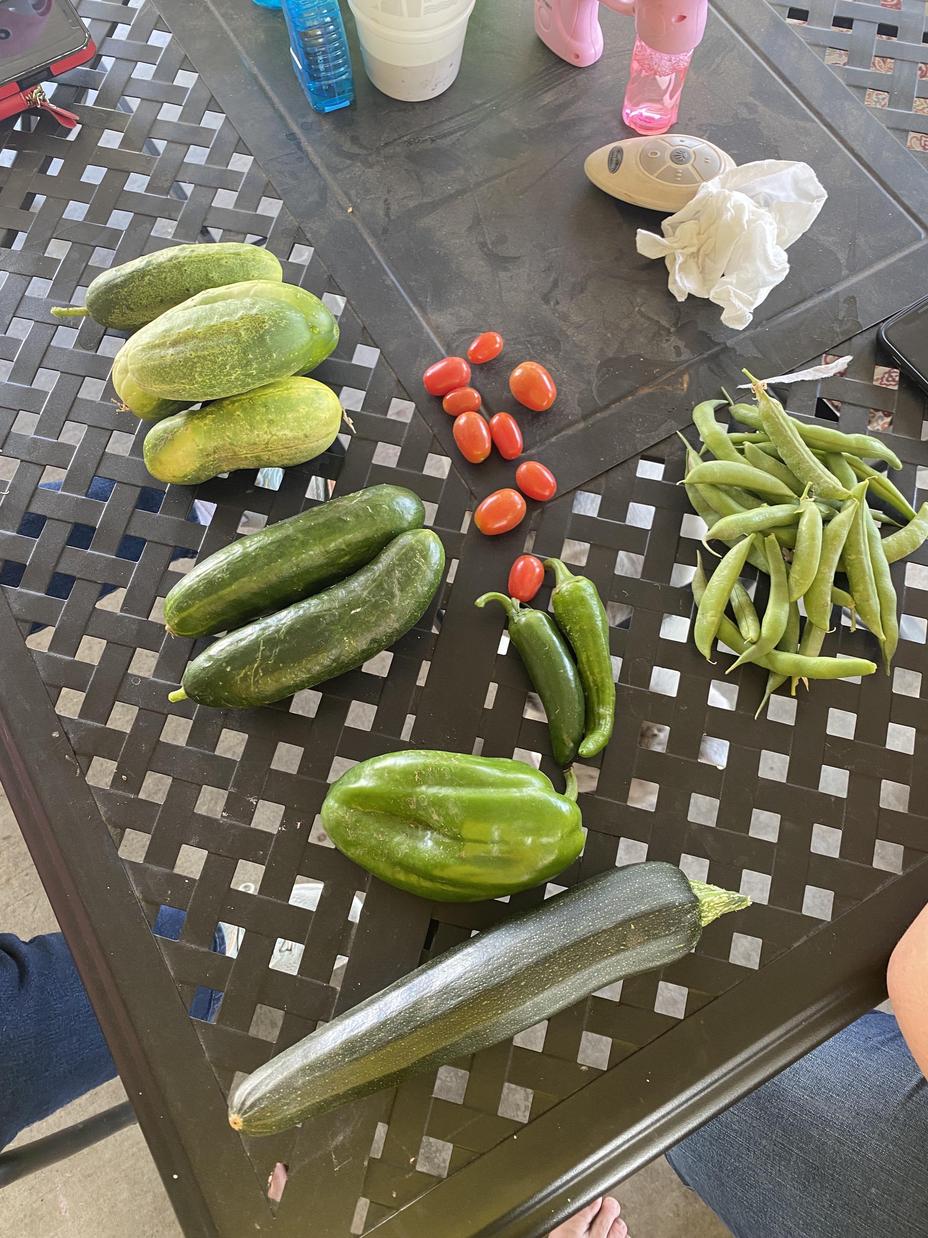 Todays garden grab r/vegetablegardening