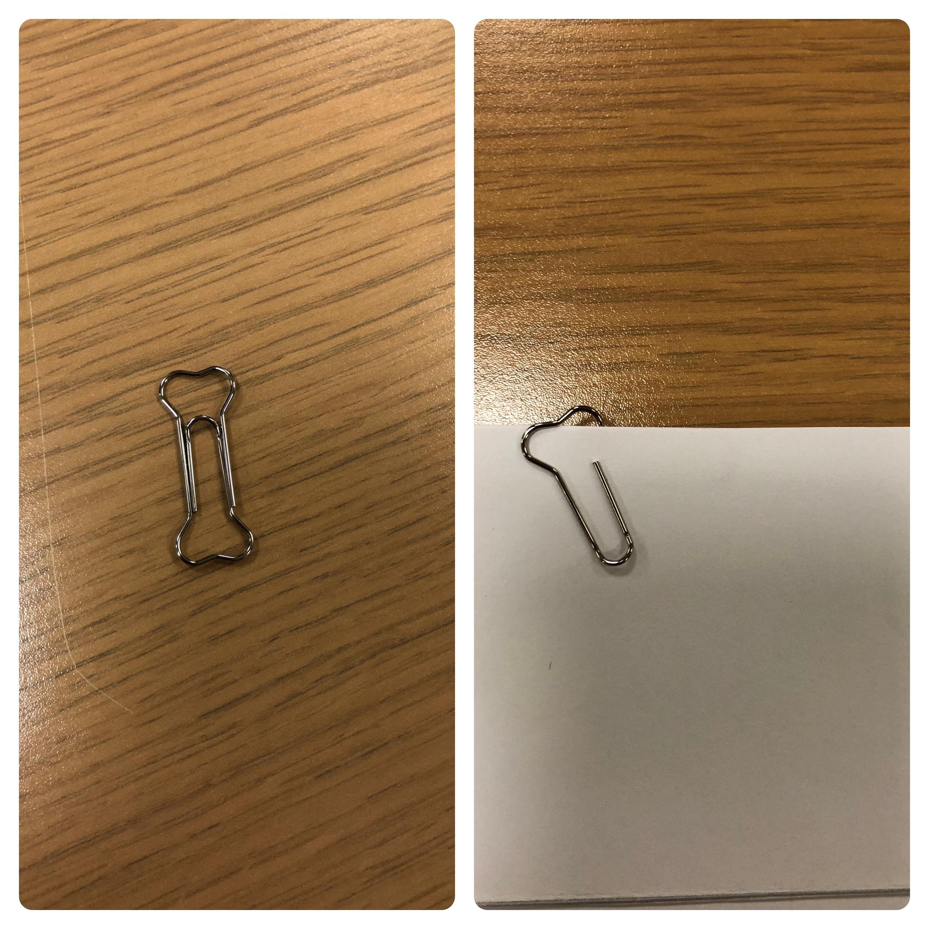 Beispiel Redner kompilieren bone paper clips meme Spinne Windgepeitscht