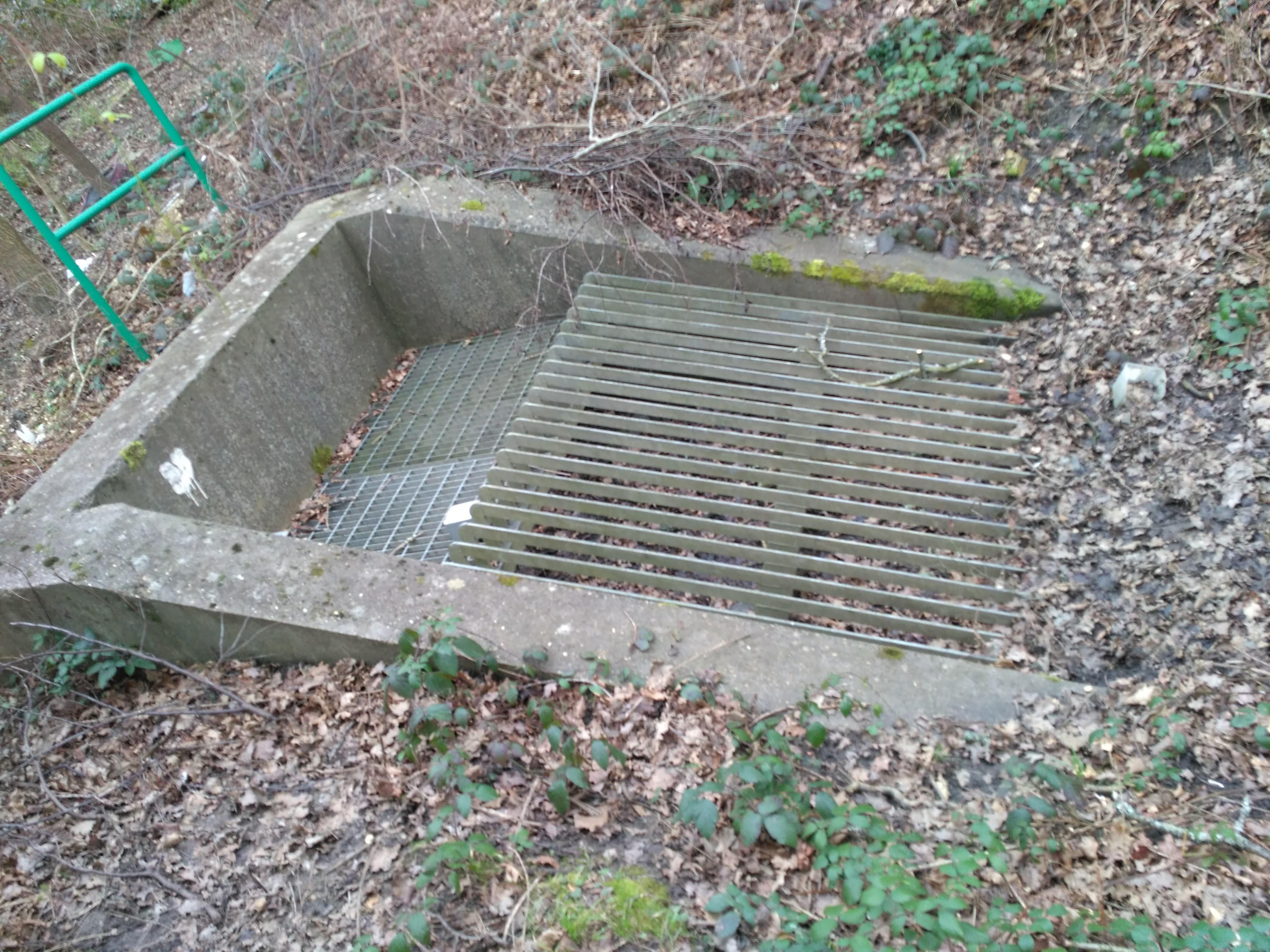 What is this thing in the woods near me? r/whatisthisthing