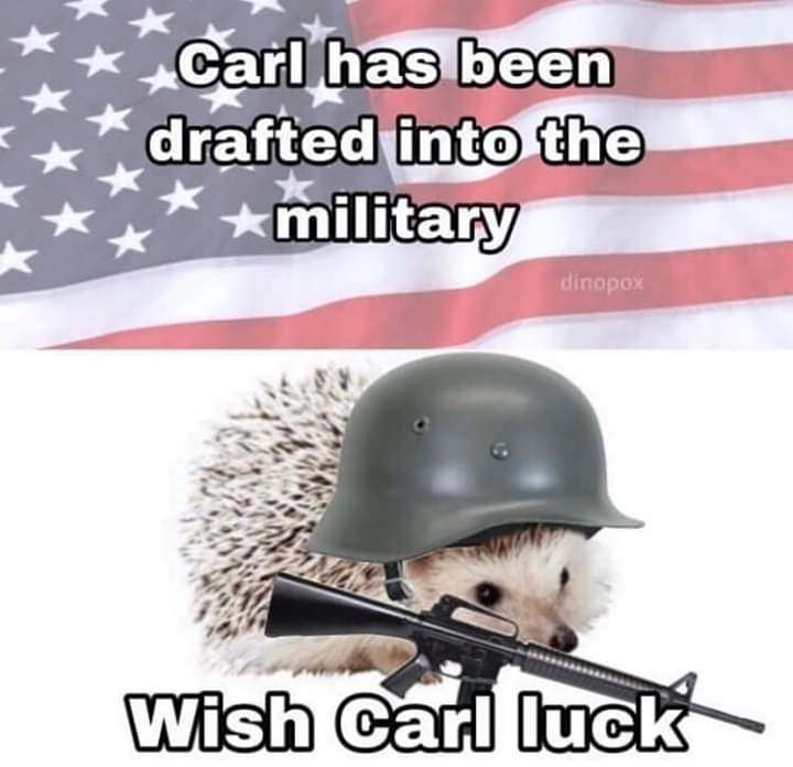 Carl is being sent to military 😭😭 pyrocynical