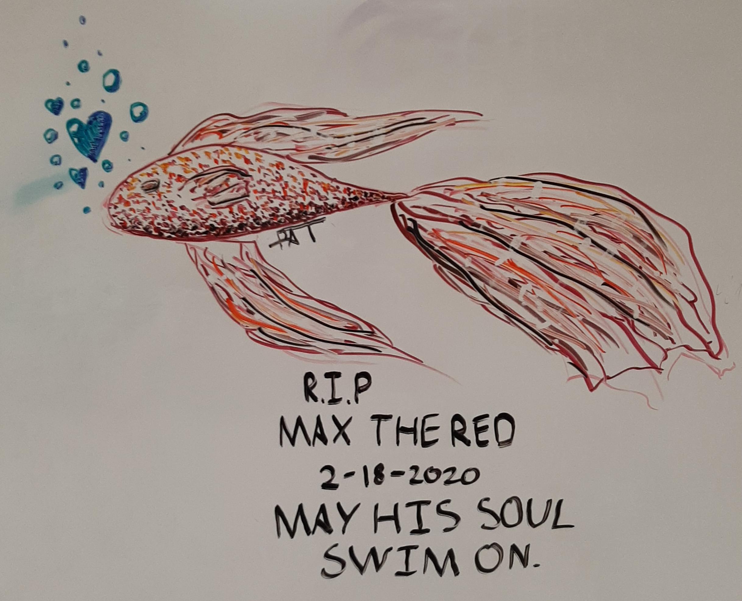 My teacher's pet fish died today. I drew this on the whiteboard in his honor. r/WhiteboardDrawings