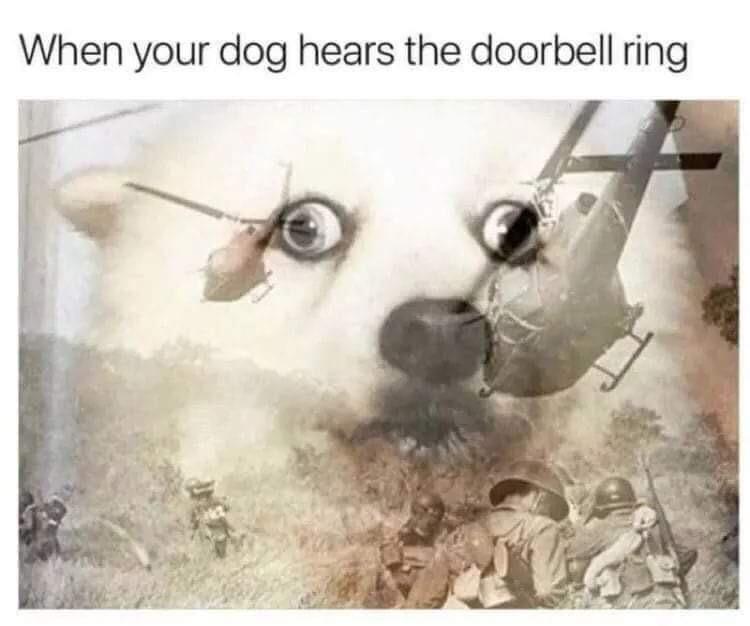 In the trees, They’re in the trees! memes
