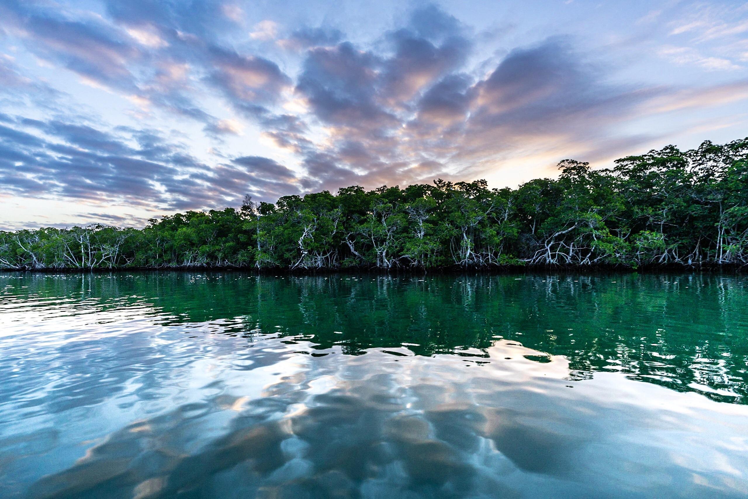 Golden hour in the Florida Keys backcountry [OC] [2560x1707] r/waterporn