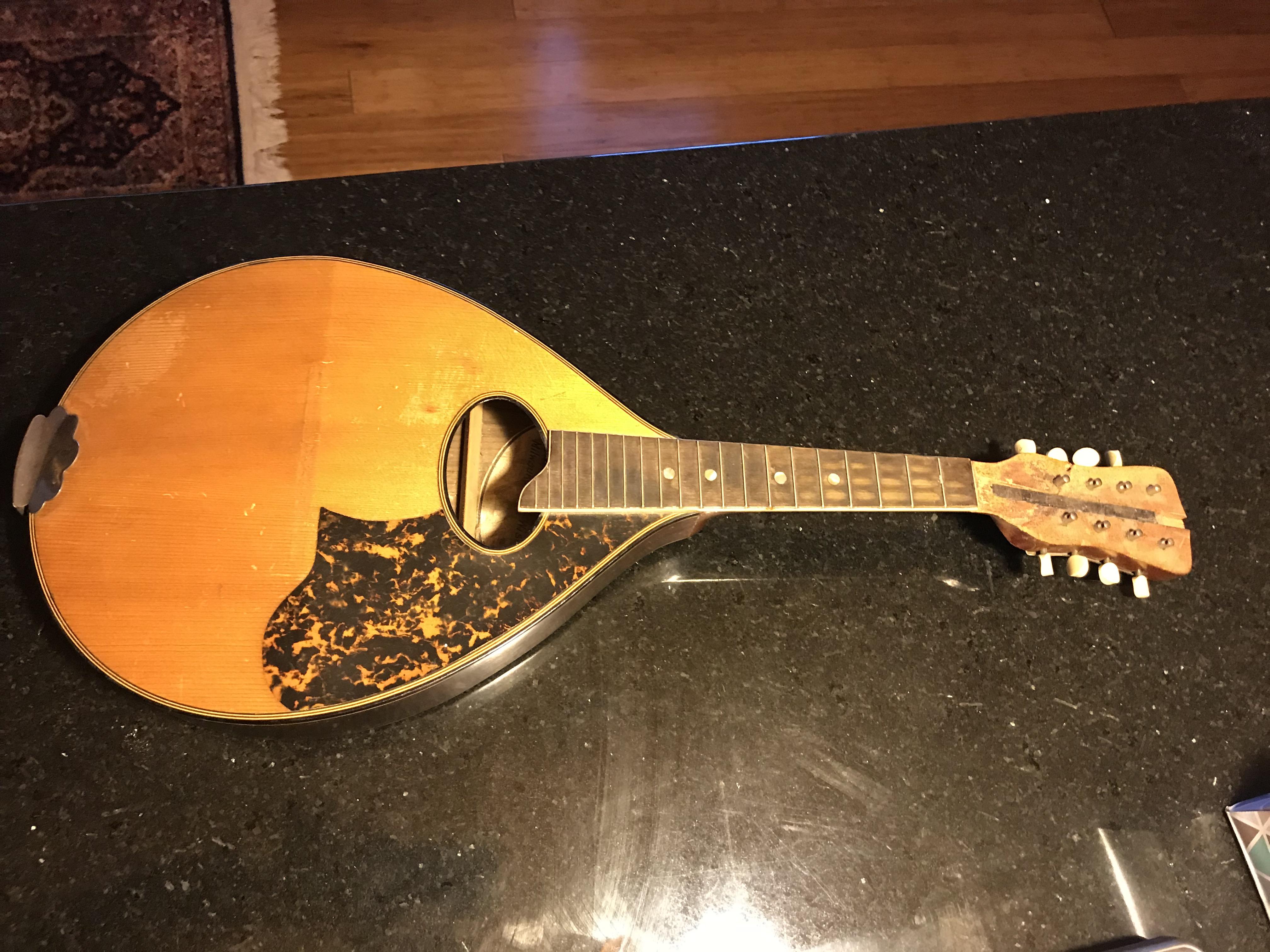 Found this mandolin in one of my storage rooms. Needs a little work