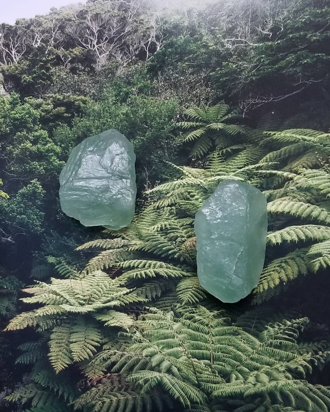 38 Hilarious Calcium Name Puns Punstoppable 🛑