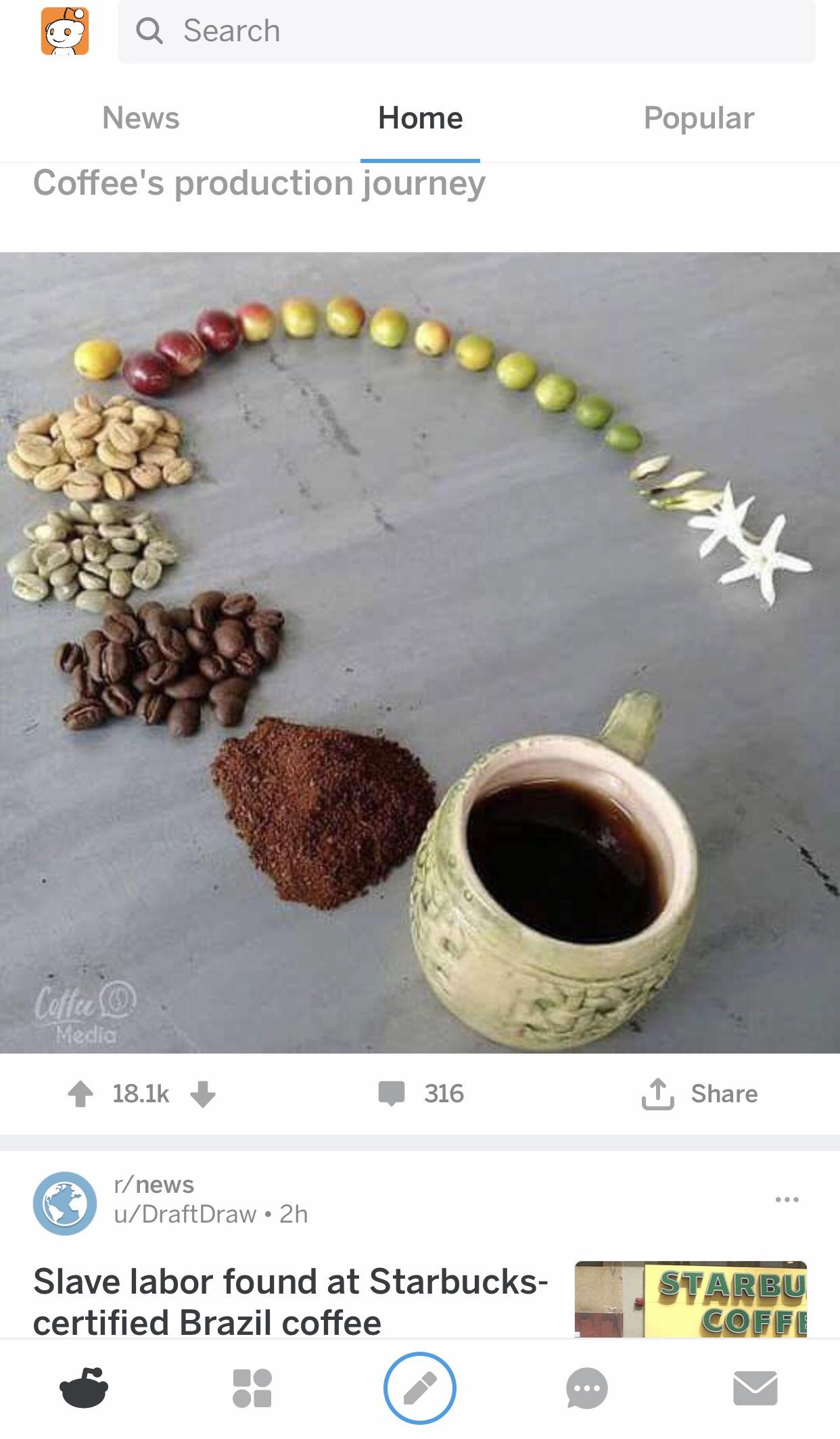 Oh wow, coffee growing is so pretty...oh. screenshots