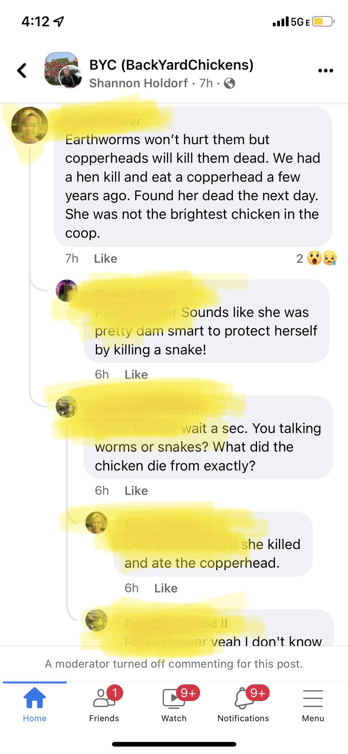 would eating a copperhead actually kill a chicken on its own? or would