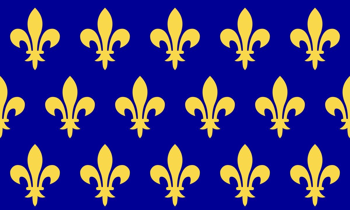 Royal banner of the Valois dynasty, France r/vexillology