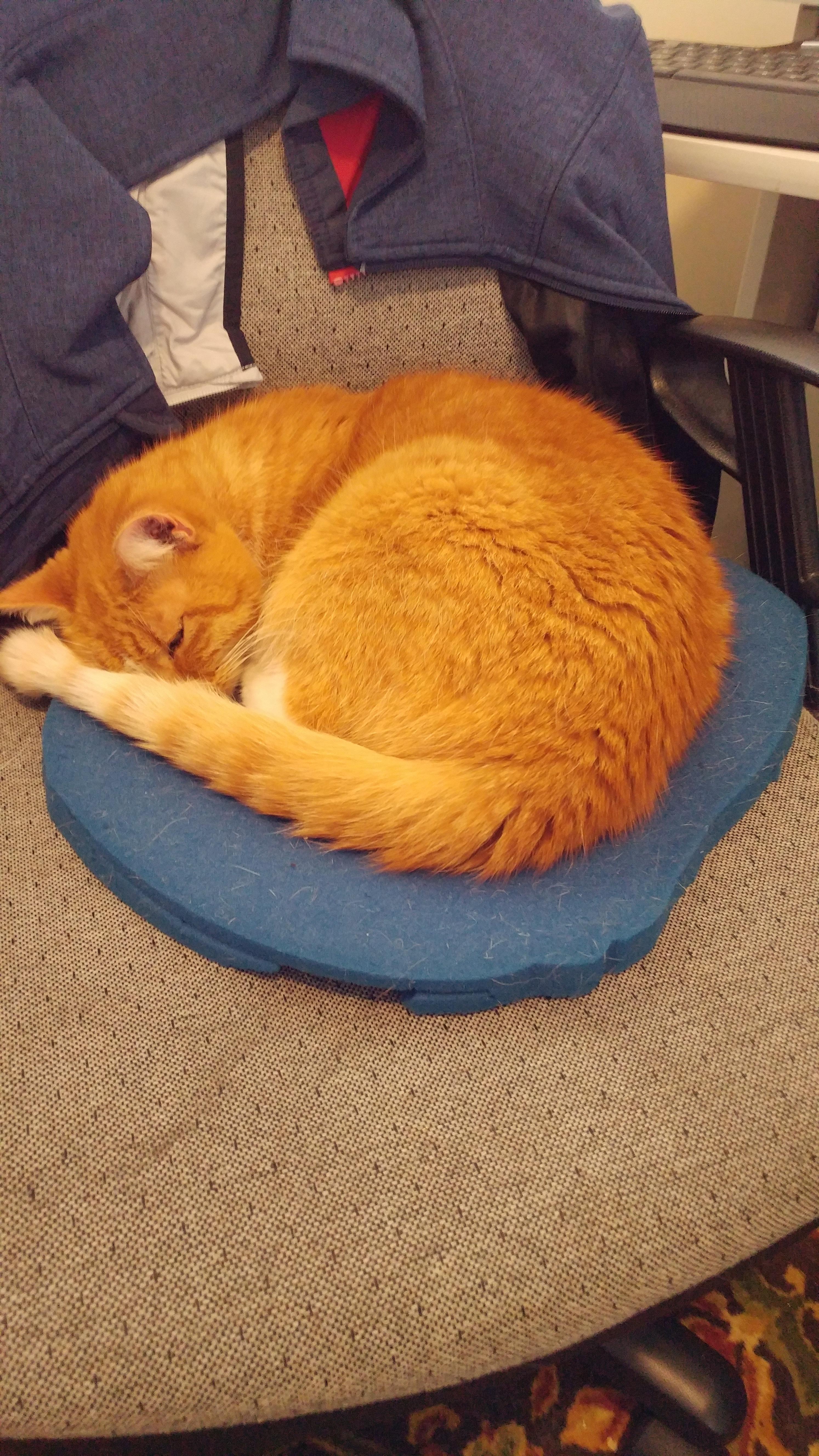 Been living in Colorado for the last few months due to college. First