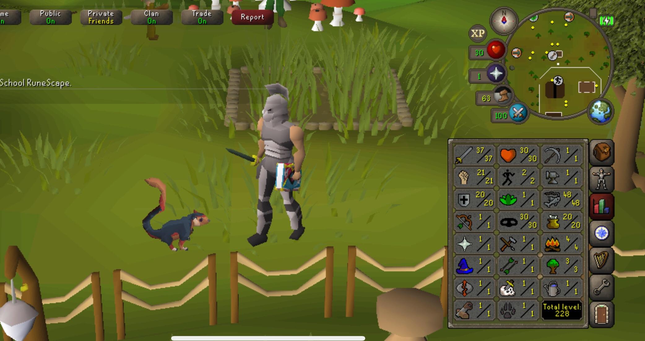 28 best Agility Pet images on Pholder Ironscape, Oldschool Runescape