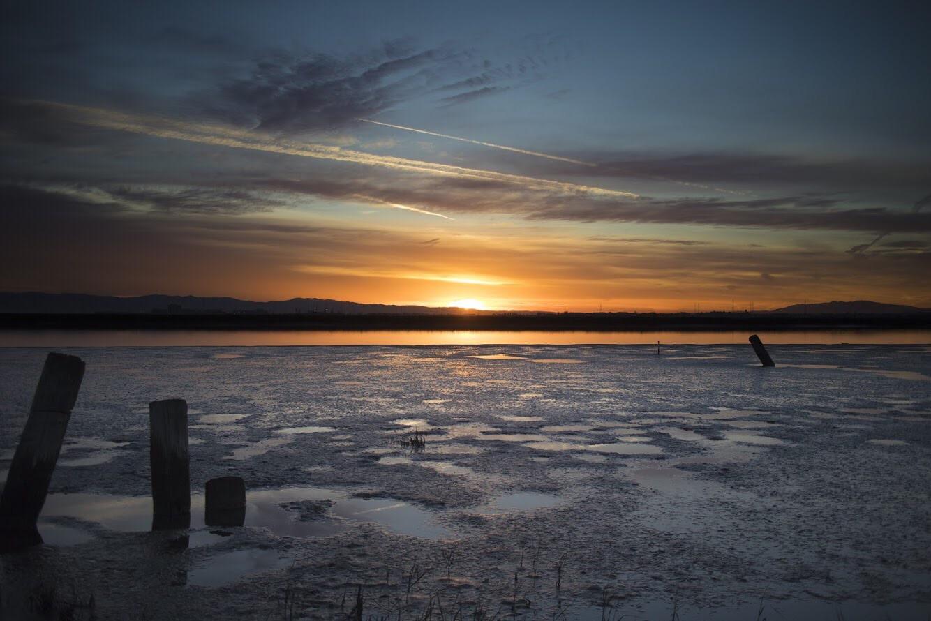 This is why I wake up at 6am. Redwood Shores, Ca. [OC] [6000x4000] r