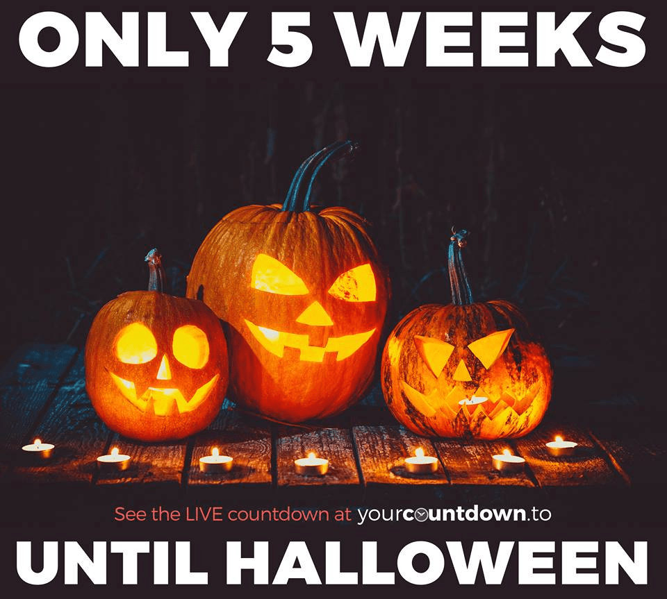 5 weeks until Halloween! r/halloween