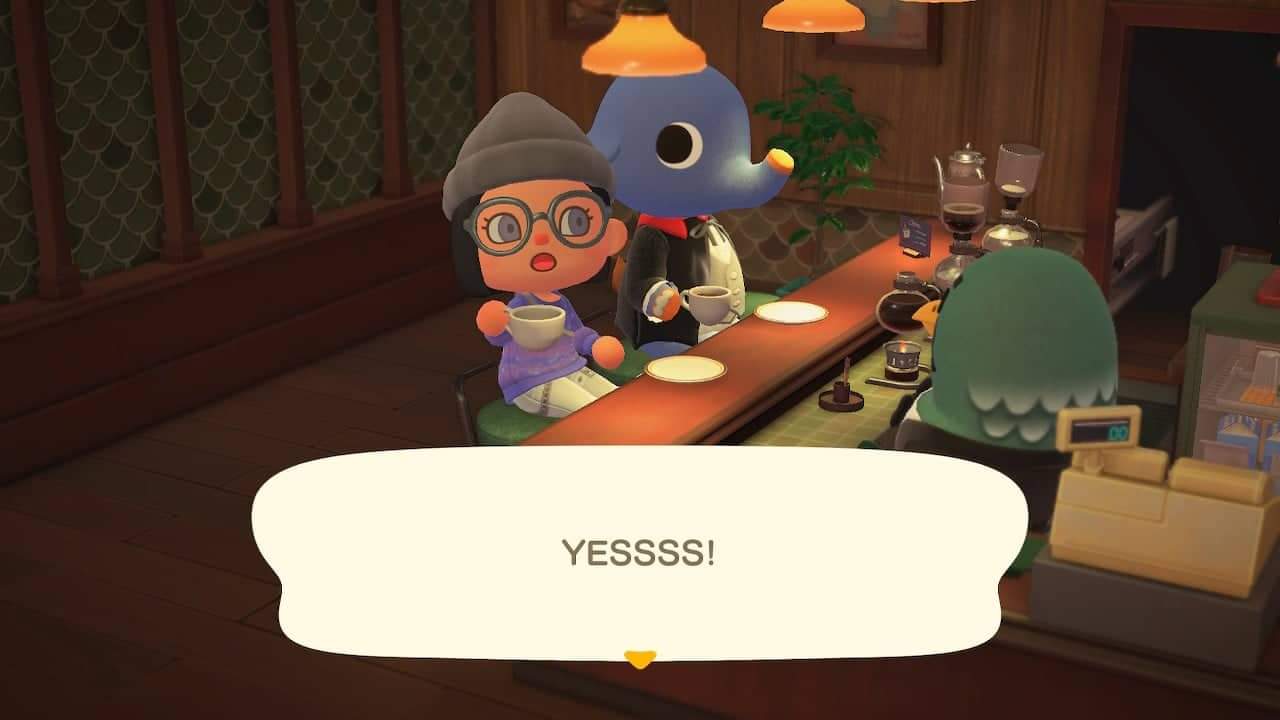 Had coffee with my all time favorite character. Animal Crossing dream