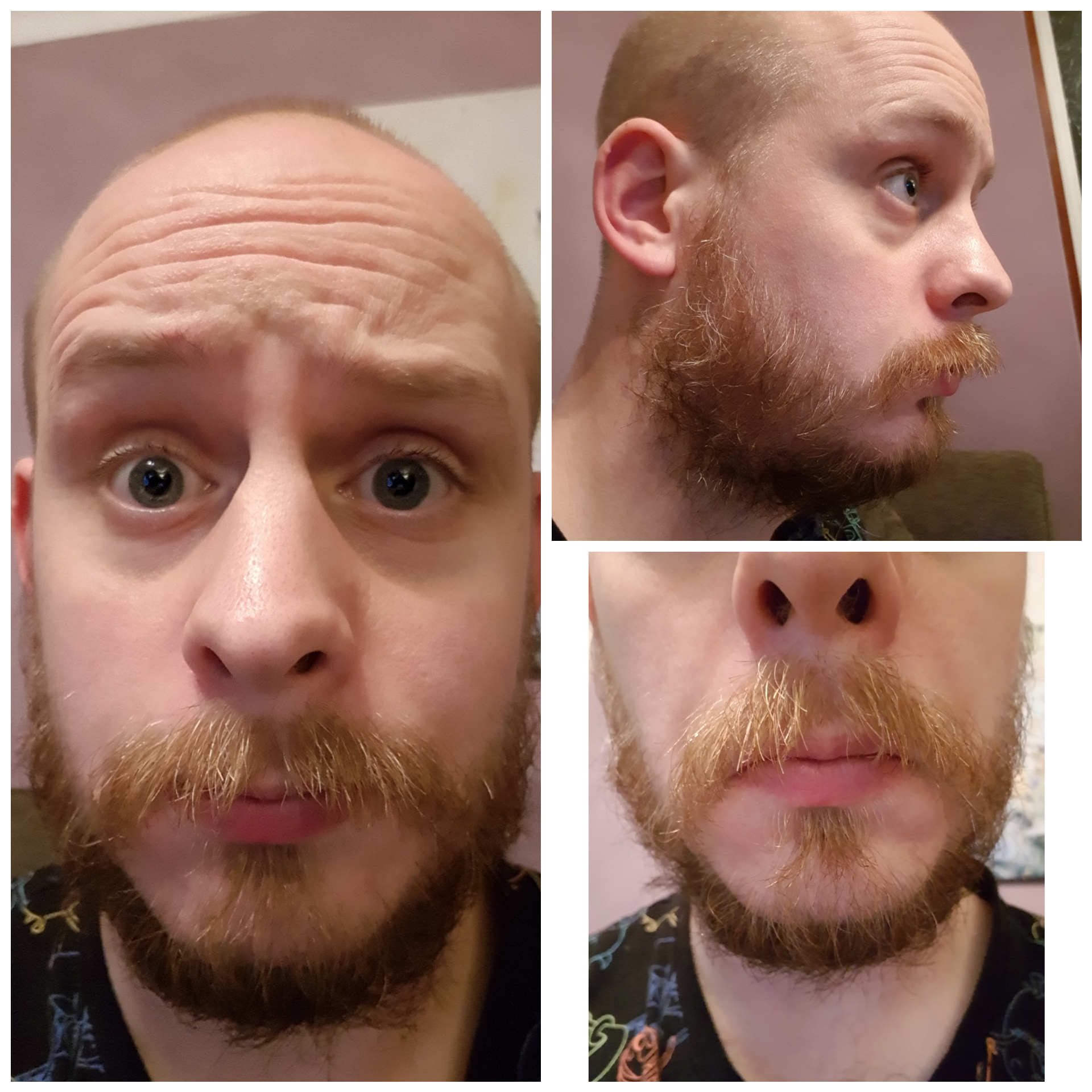 Help needed. Ive had a beard fo a few years now but kept it relatively