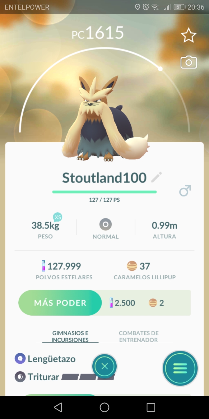 Is Stoutland good for anything? Got this 100IV good boy today r
