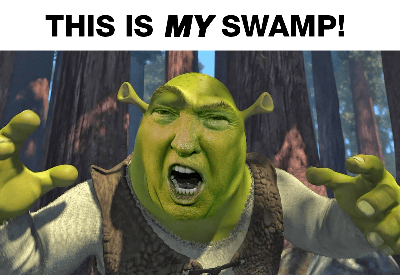 Drain the Swamp!? funny